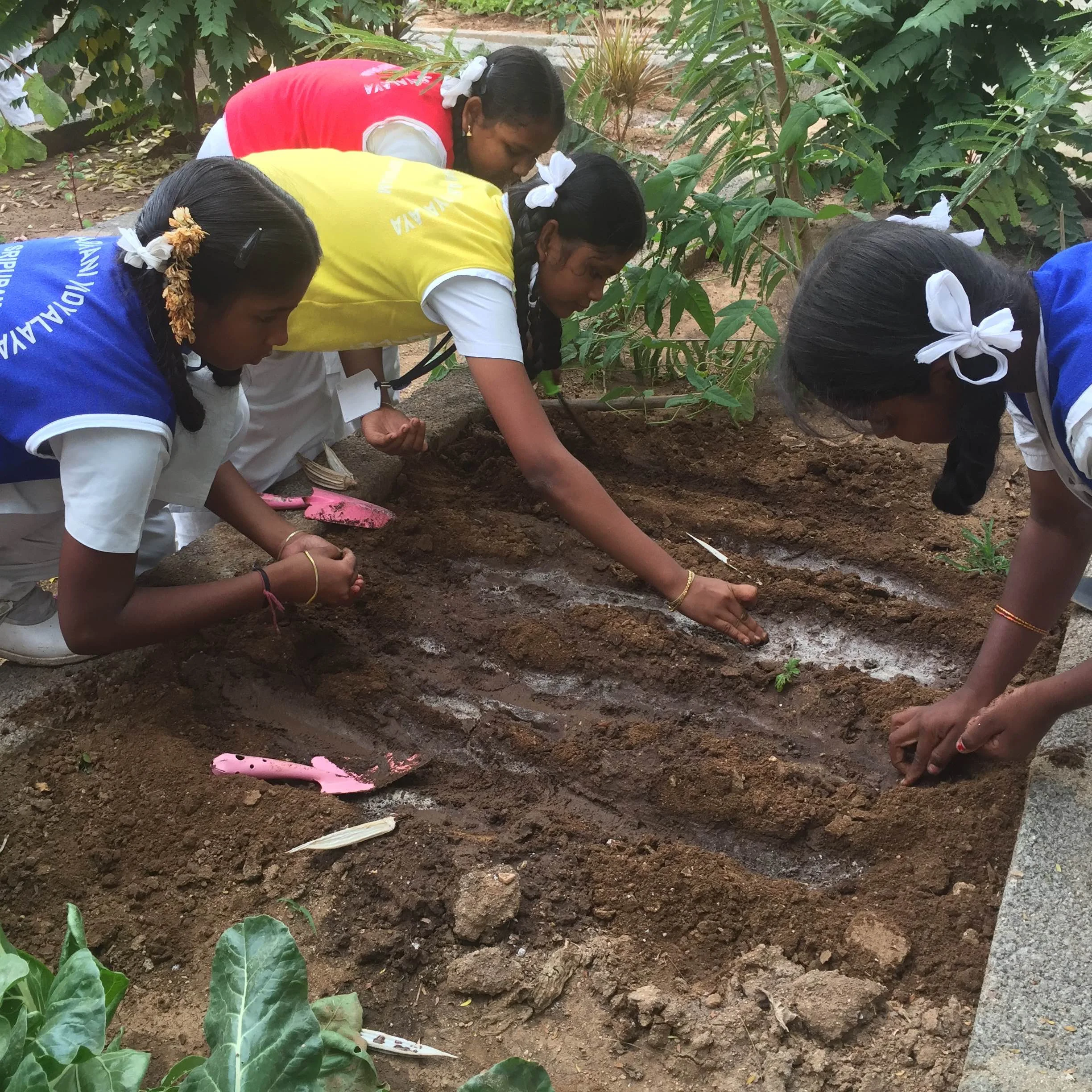 school_vegetable_garden_9782.jpg