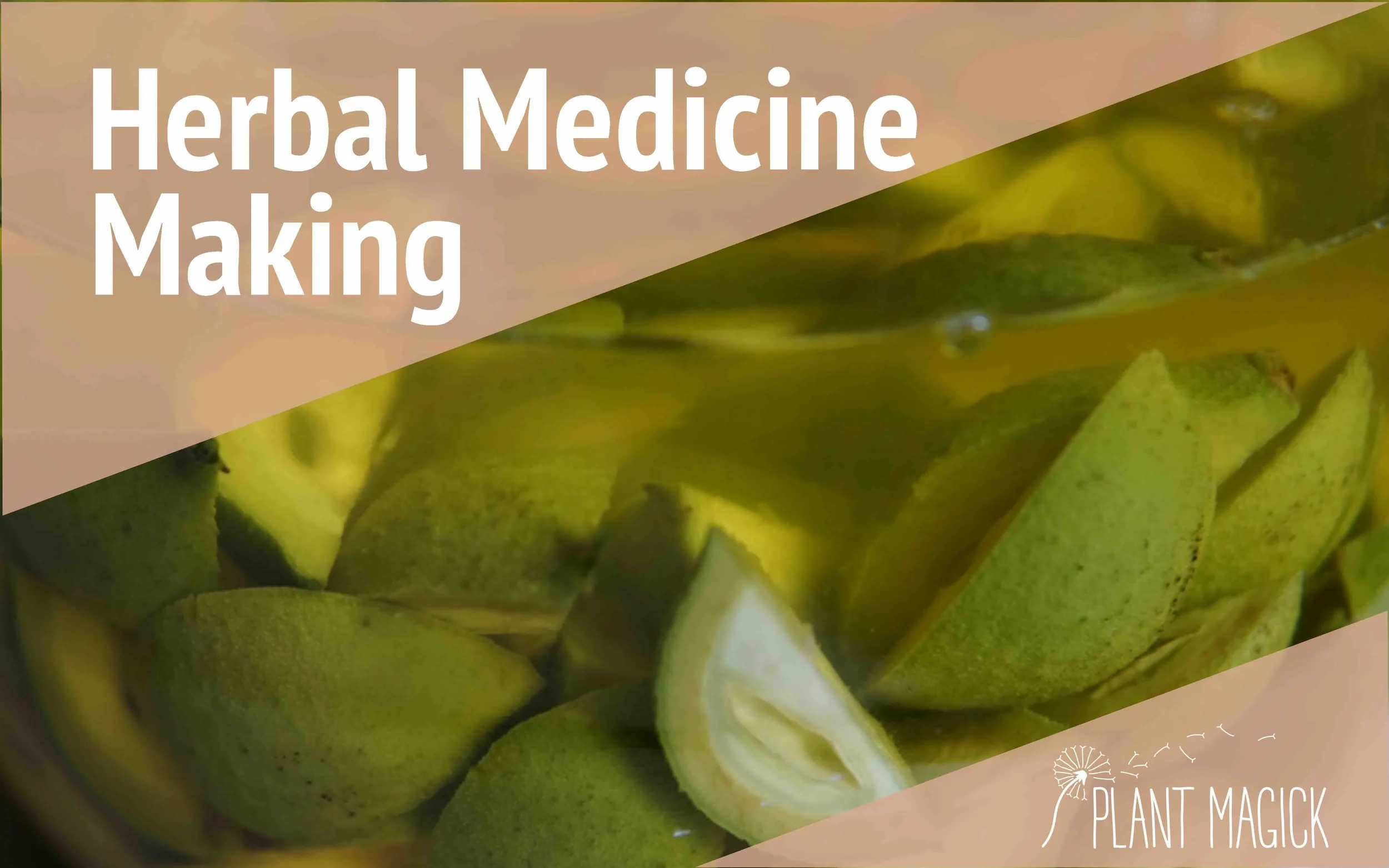 Herbal Medicine Making: Nocino