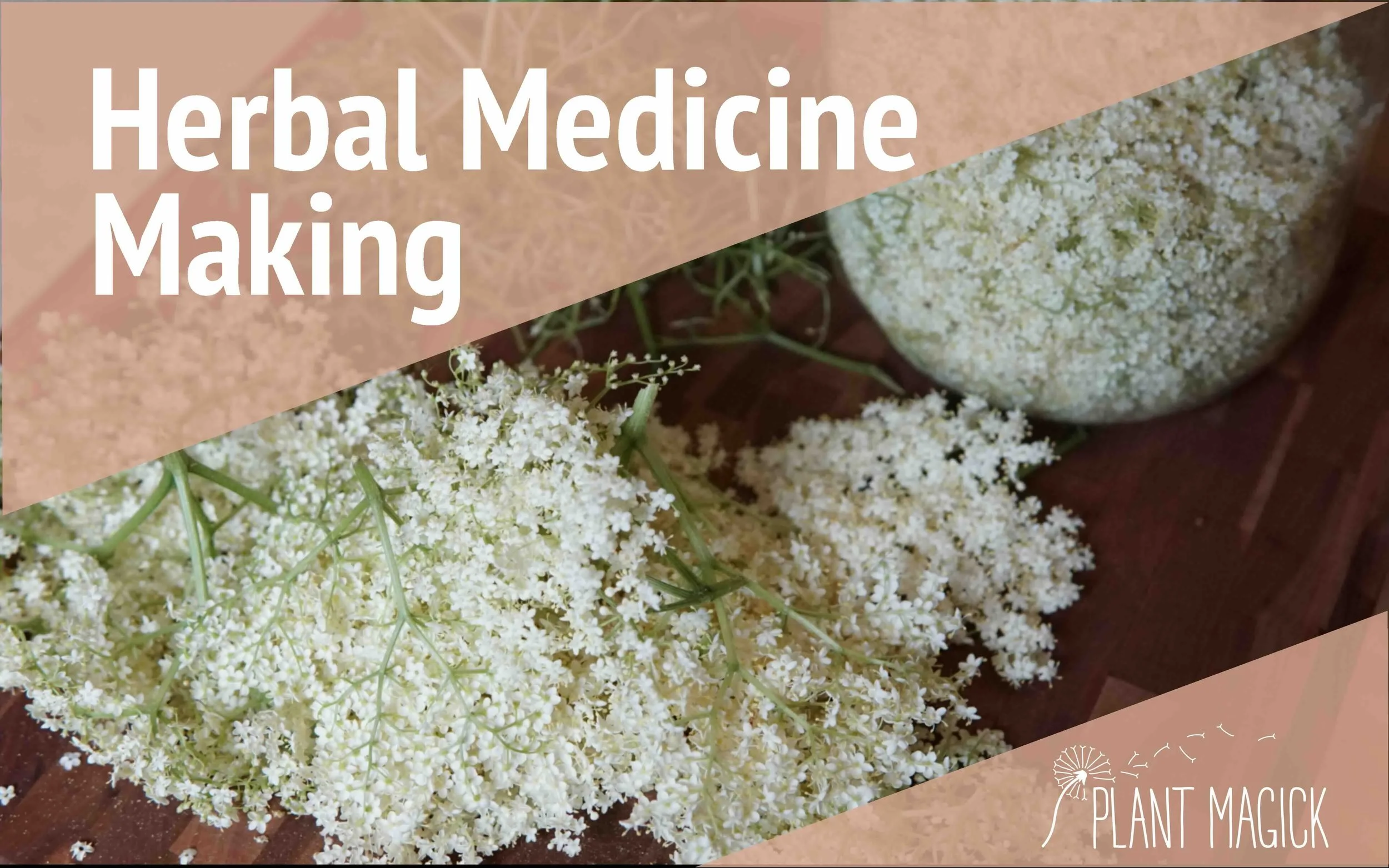 Herbal Medicine Making: Elderflower Liqueur