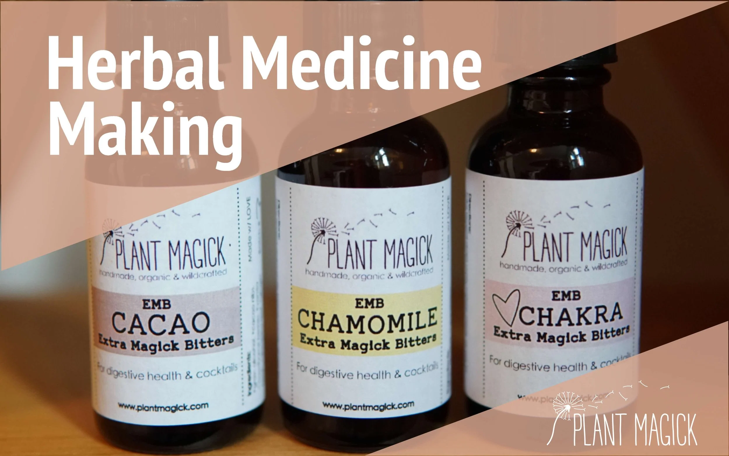 Herbal Medicine Making: Bitters