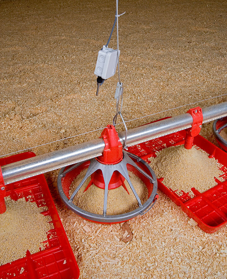  poultry feeder, Georgia, chicken house 