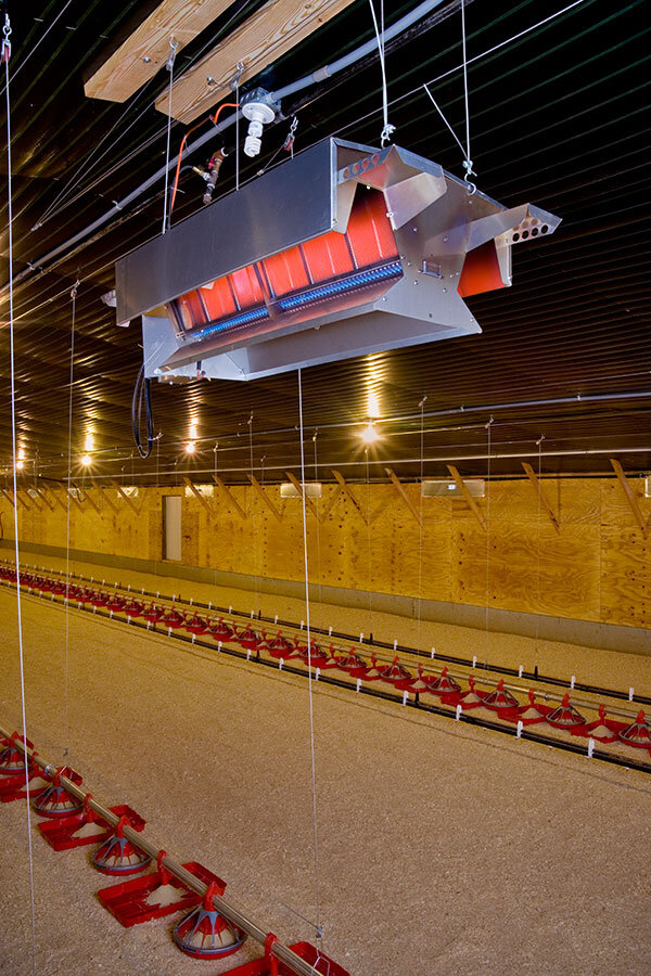  poultry heater, chicken house, Georgia 