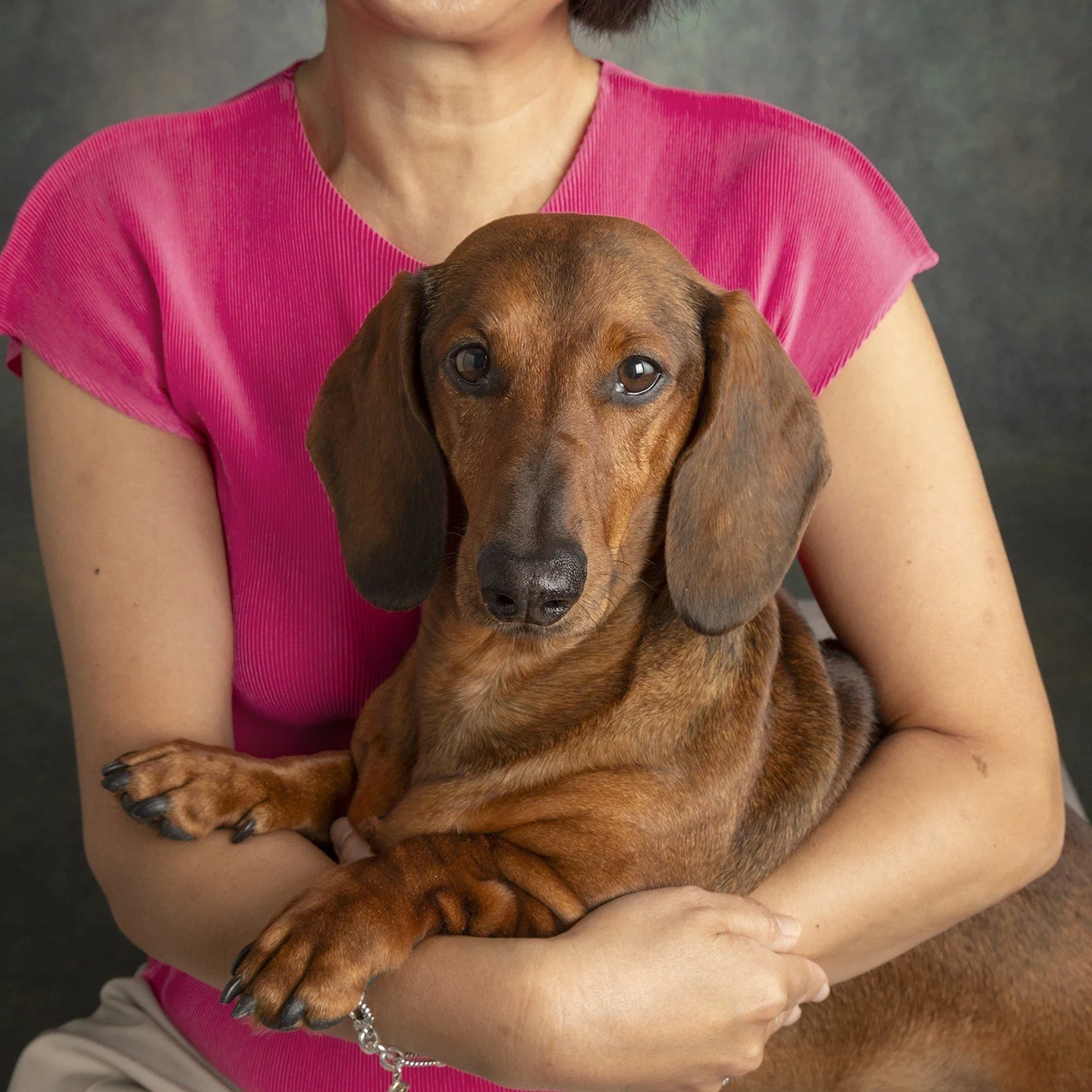Tomoko &amp; Daisuke
.
.
.
.
.
#davidsutton #suttonstudios #davidsuttonstudios #dogs #dogsofinstagram&nbsp;#petphotography #petphotographer #dogportrait #chicagofamilyphotographer #dogscorner #inspiredbypets #petbox #petstagram #dogsandpals #instadog