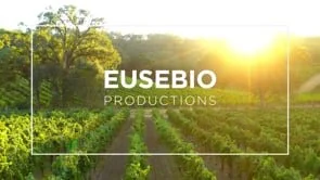 Eusebio Productions Showreel