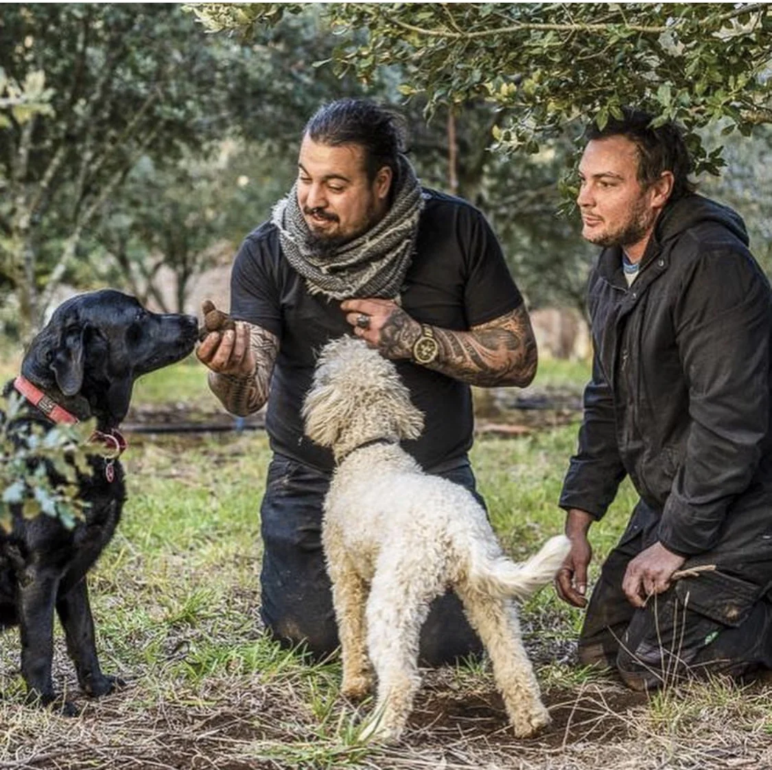 Photography: Robertson Truffle Farm