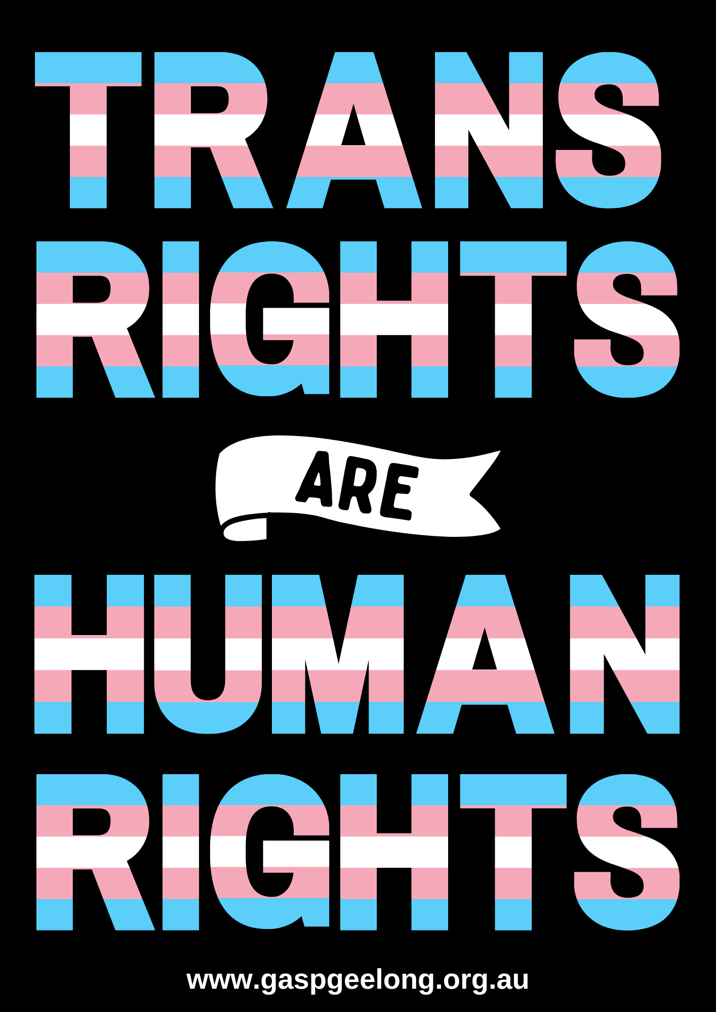 Trans Rights.png