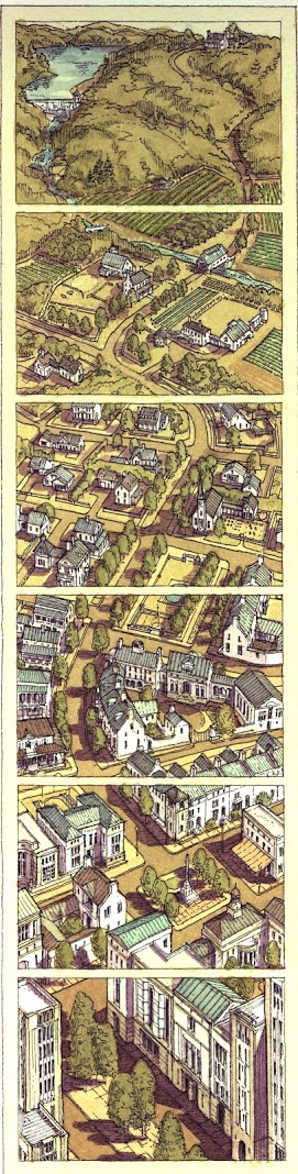 transect-all.jpg