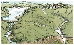transect-t1.png