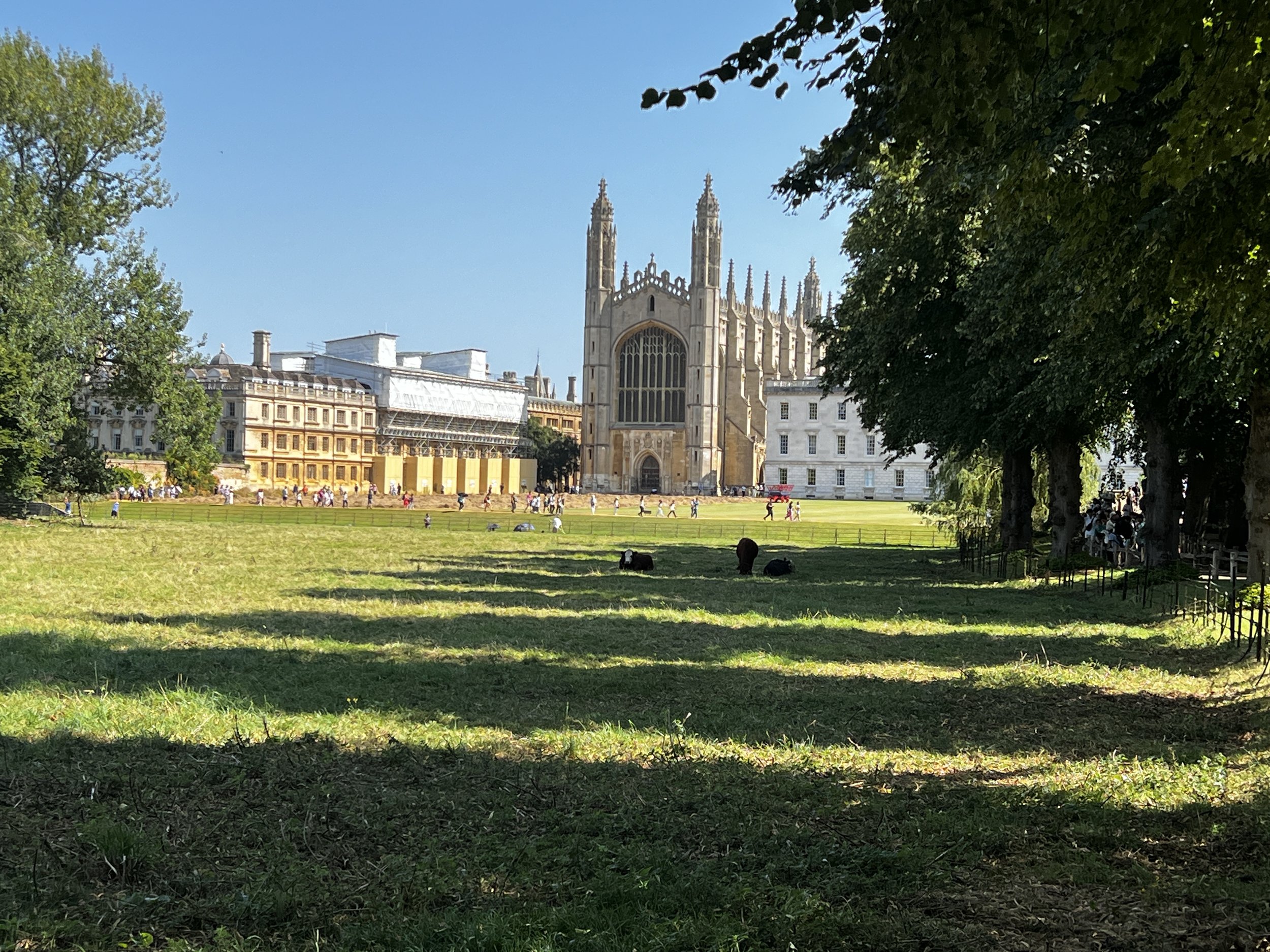 IMG_5596.jpeg