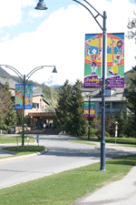 banners2.gif