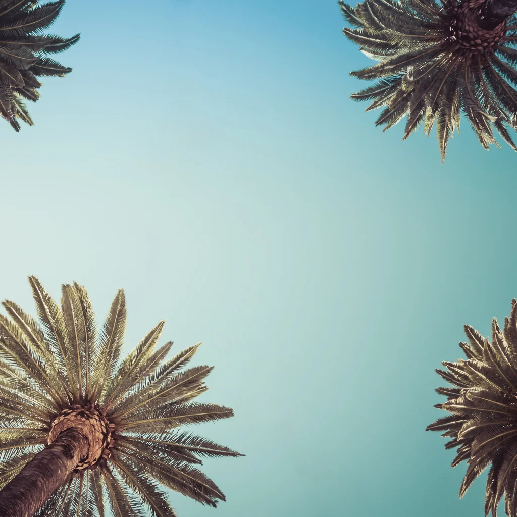 AdobeStock_143392754.jpg
