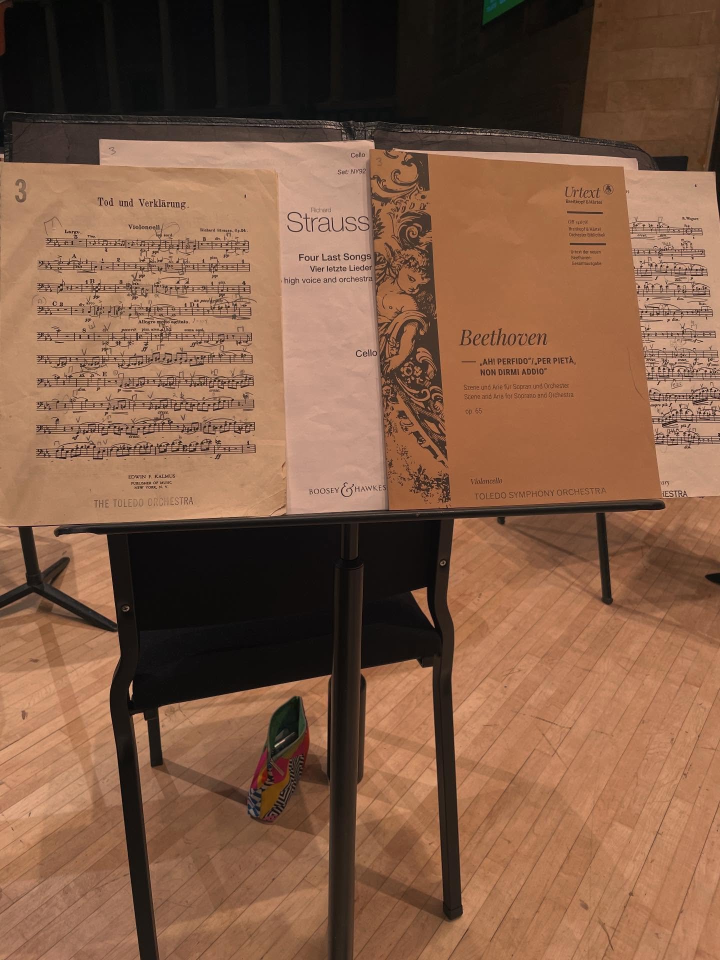 #whatsonmystand

Richard Strauss: Death and Transfiguration
Richard Strauss: Four Last Songs
Ludwig van Beethoven: Ah! perfido - Per piet&agrave;, non dirmi addio 
Richard Wagner - Prelude and Lovedeath from Tristan and Isolde

#symphony #orchestra #