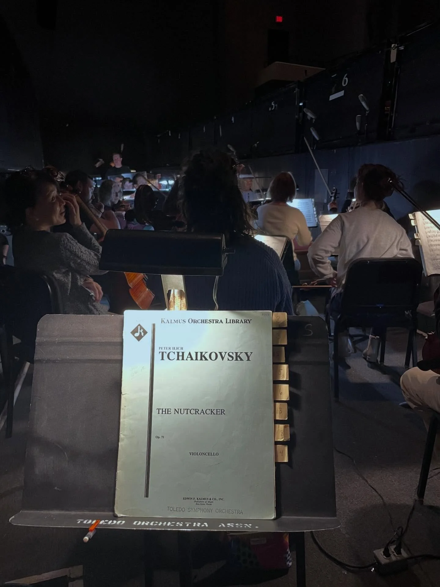 #whatsonmystand

Piotr Ilyich Tchaikovsky: The Nutcracker

We&rsquo;re knocking out the second of the two major holiday mainstays in Toledo this week. 5 shows in 3 days! Here we go!

#symphony #orchestra #ballet #cello #cellist #classicalmusic #class