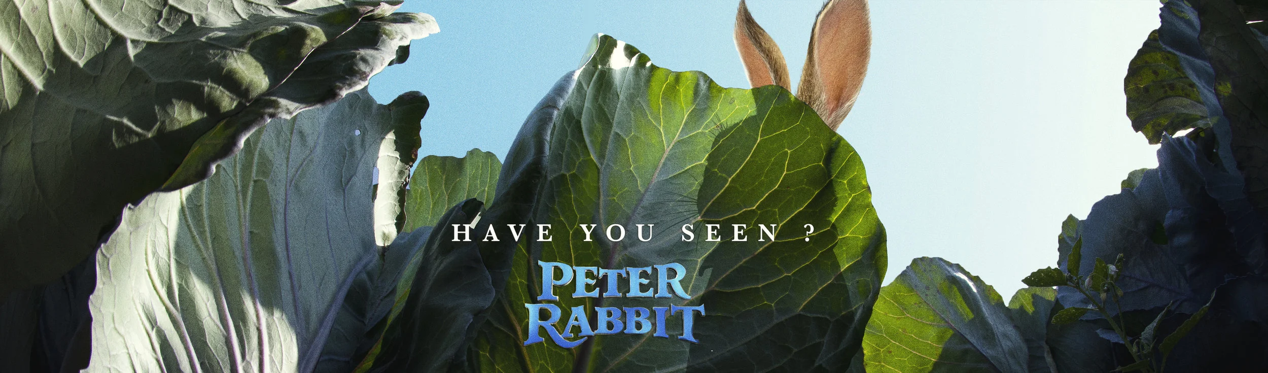 PETERRABBIT01.jpg