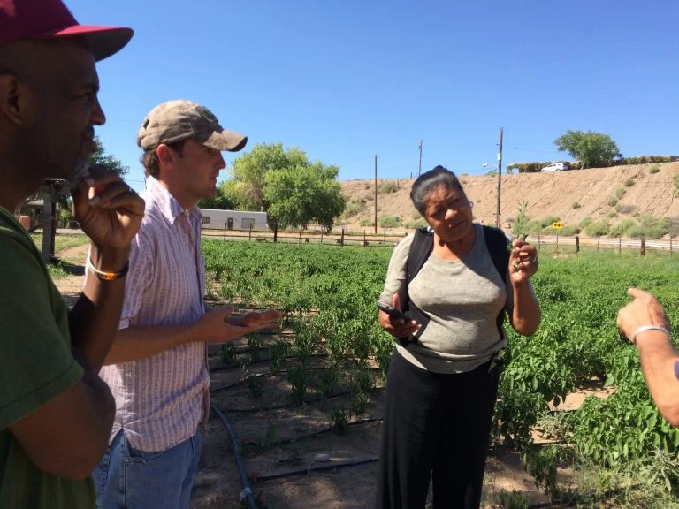 Barbara in Atrisco, NM helping to train other Veteran farmers in the Rural Coalition