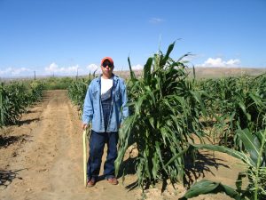 Mike standing next to a tall cornstalk