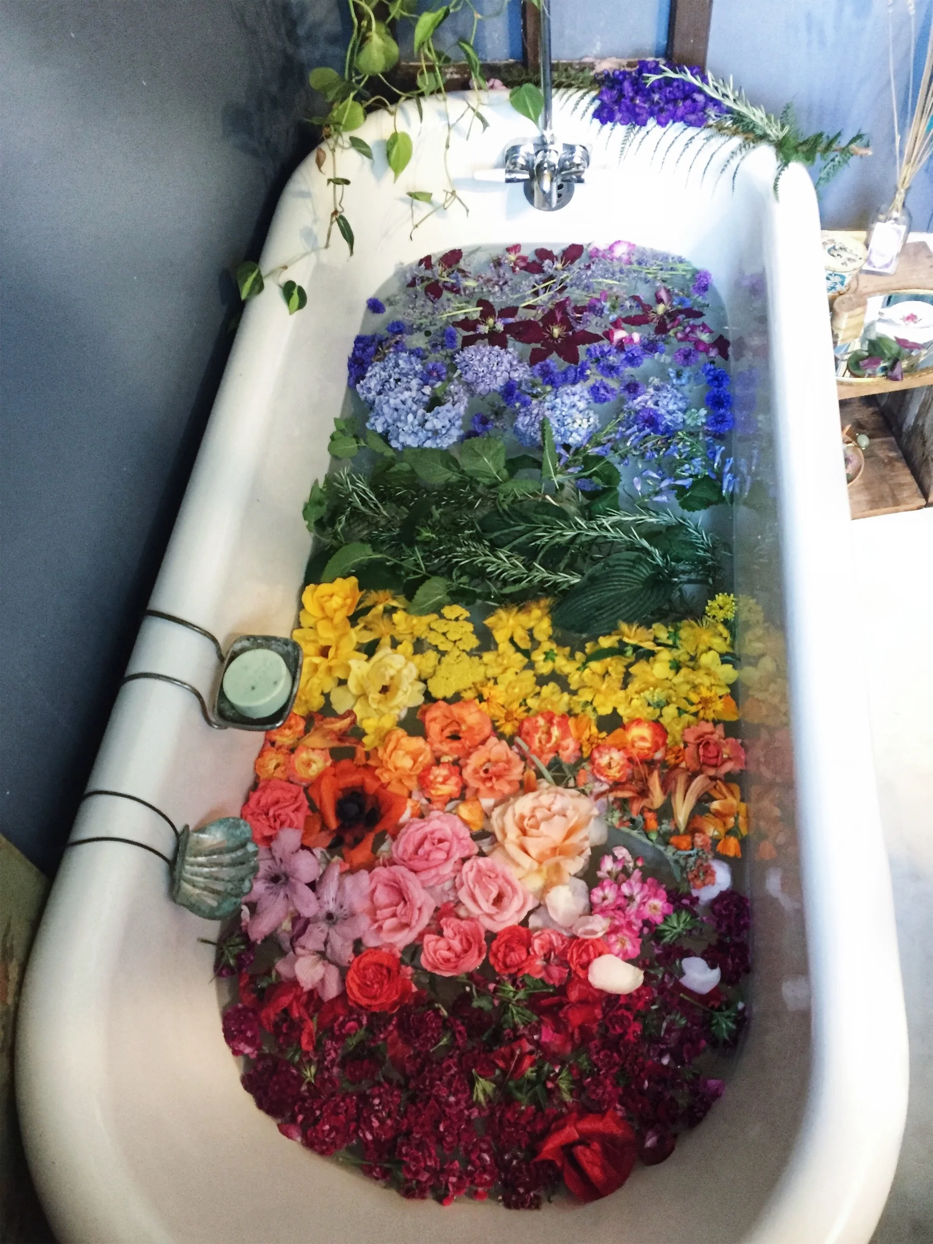 Pride Bath 1.jpg