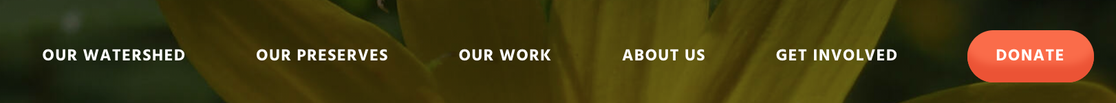 Screenshot 2019-03-22 at 12.34.51.png