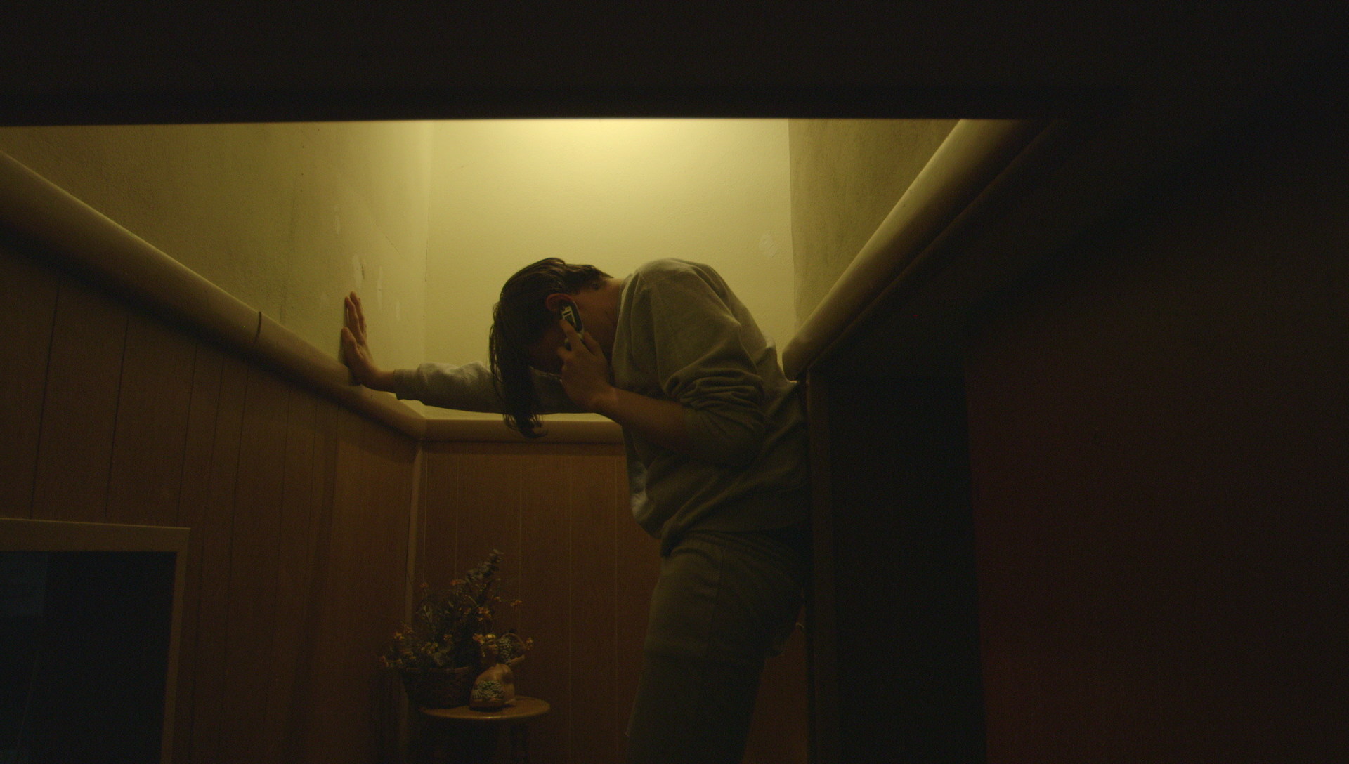 vlcsnap-2018-03-26-21h33m38s238.png