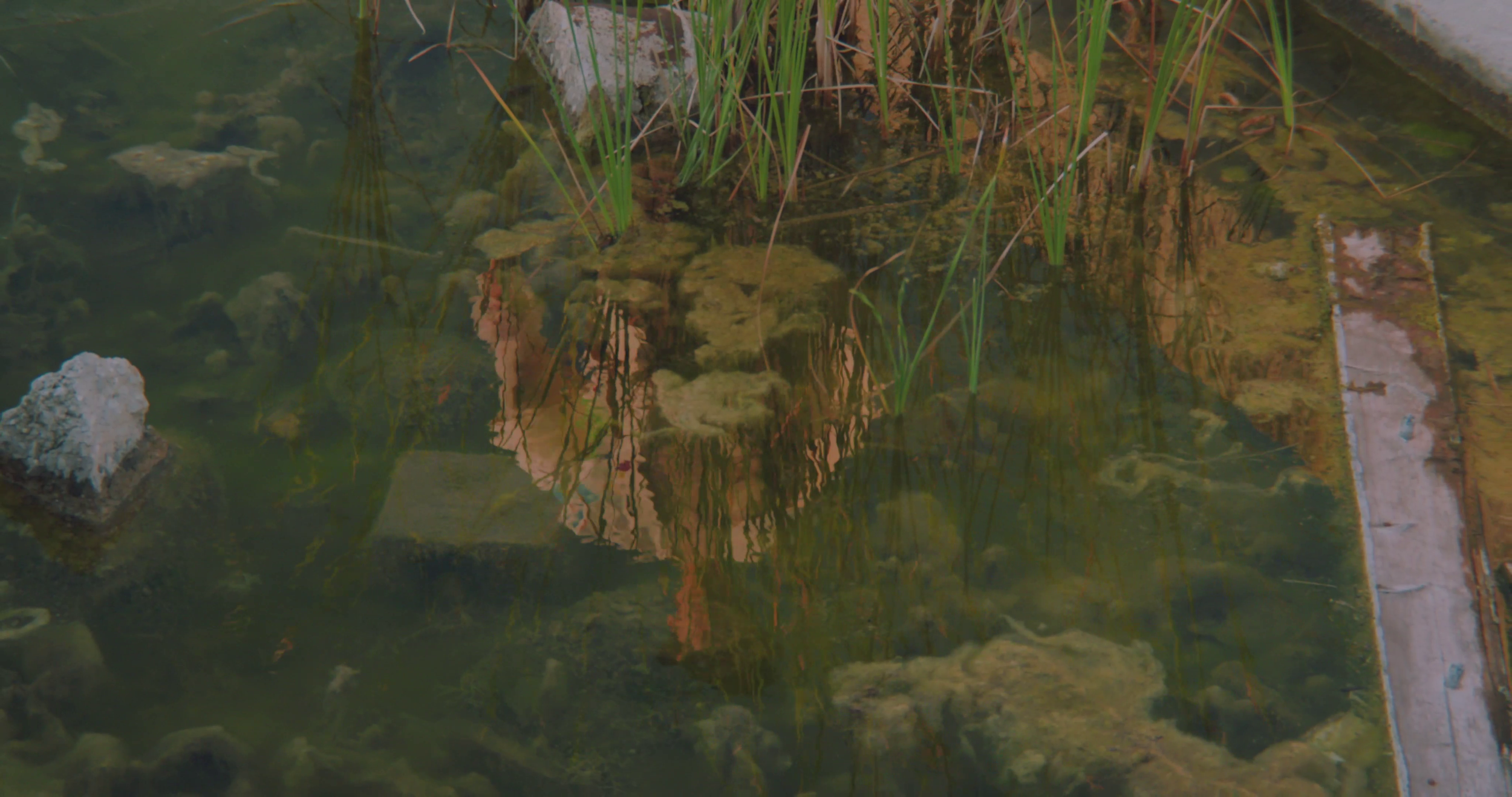 vlcsnap-2019-09-02-21h37m06s058.png