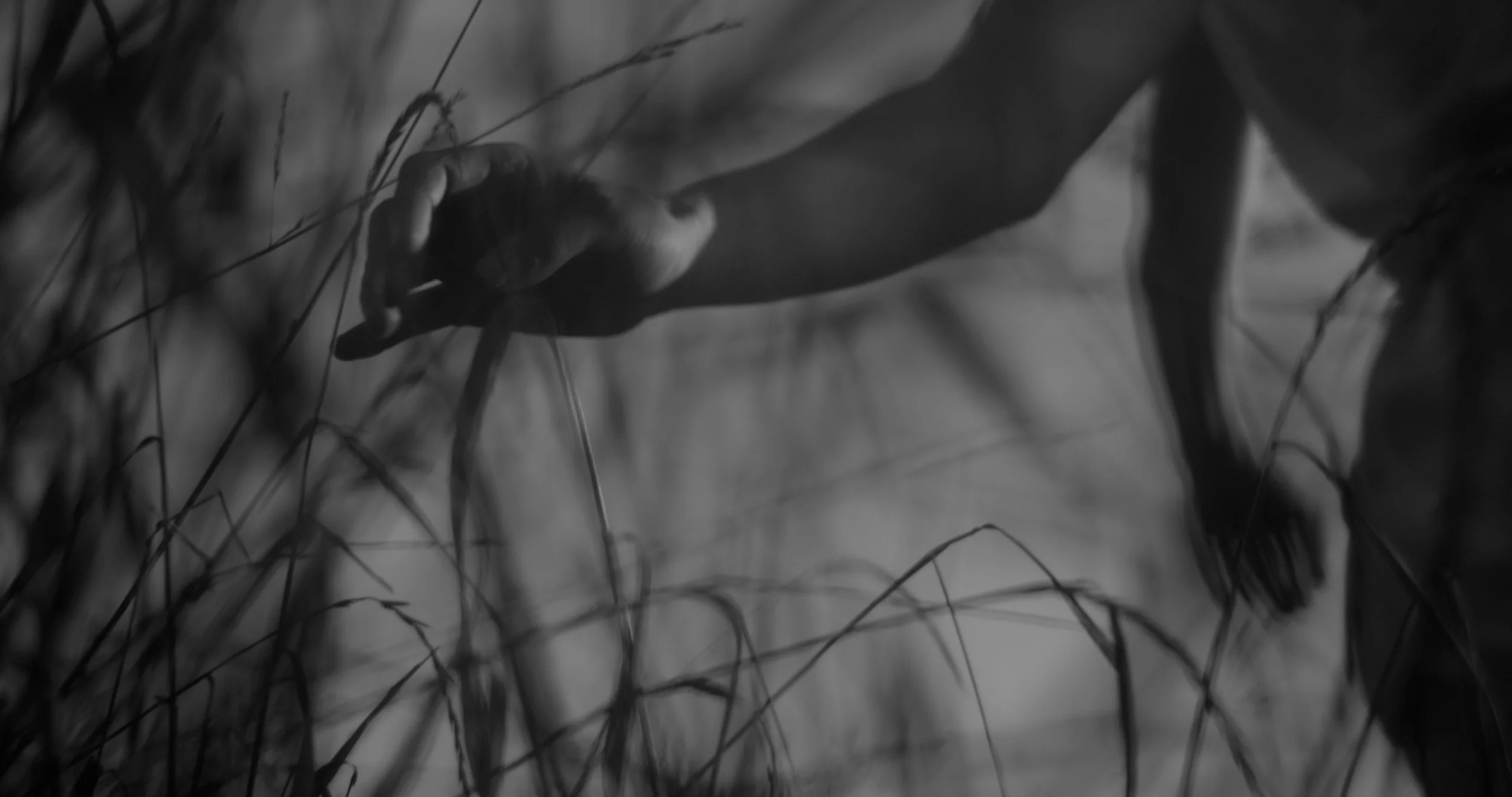 Draft 2.00_02_48_23.Still012.jpg