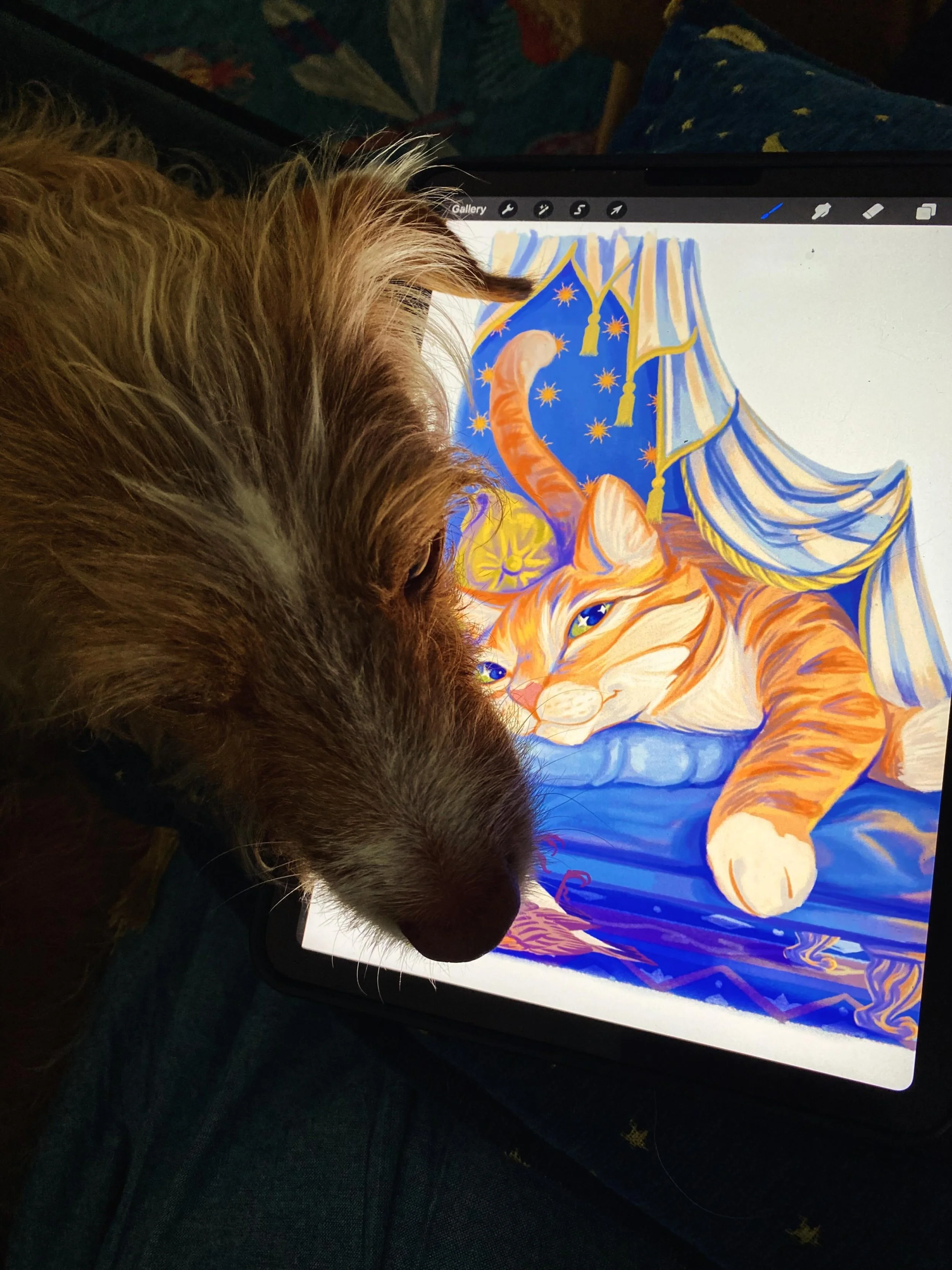 Happy #caturday 🐱
.
A sneak peek of the work in progress of a cat-filled publishing project recently delivered (Napo, my dog, wasn&rsquo;t very pleased, though)
.
.
.
#bookillustration #bookillustrator #catagram #animalillustration