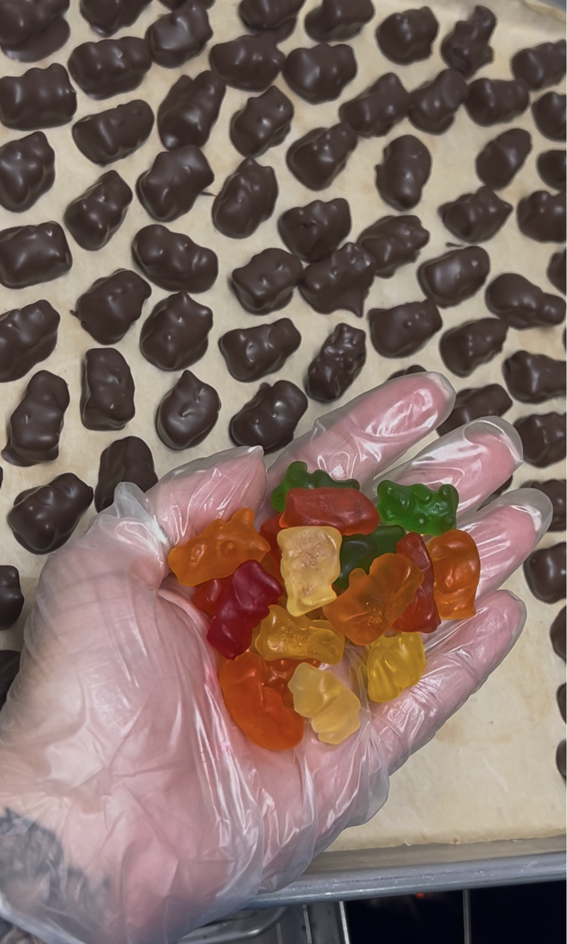 Choc Gummy Bears.png