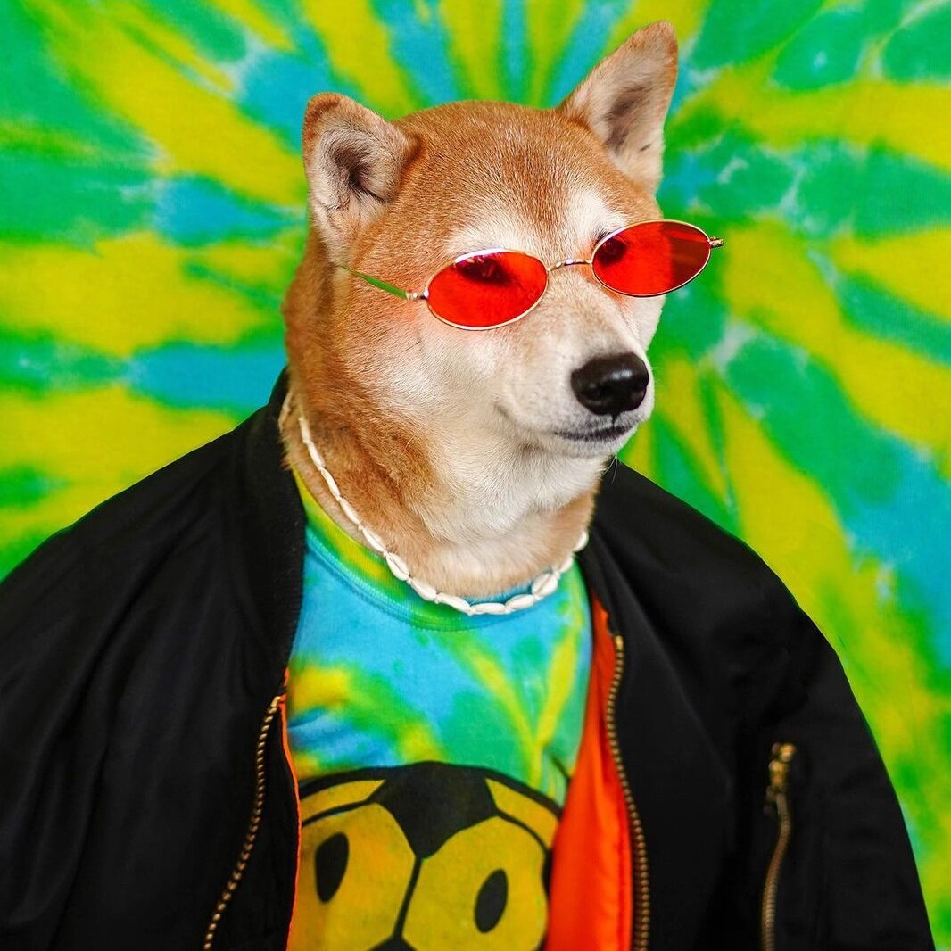 Bodhi 1.jpeg