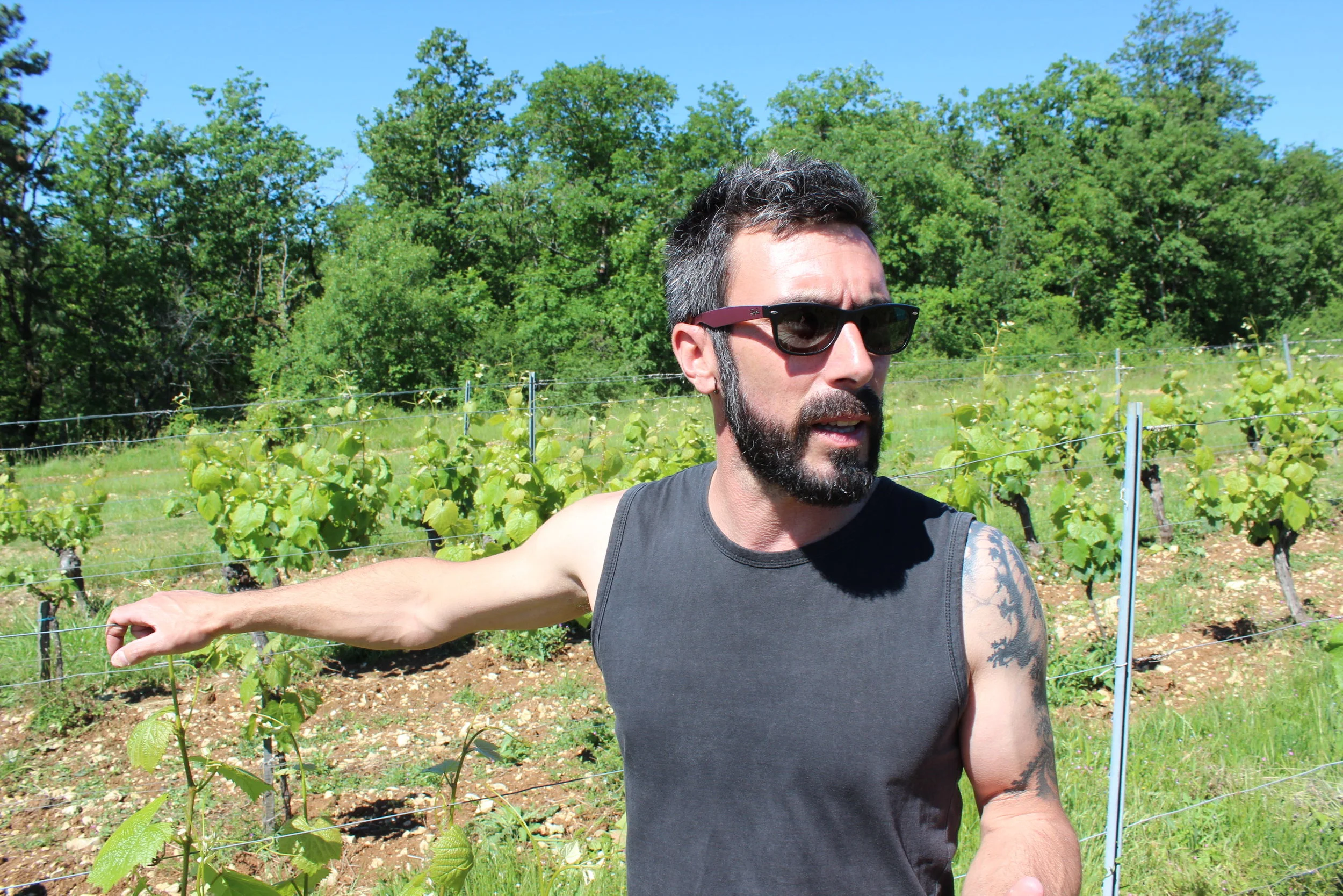 Le sorcier de Cahors