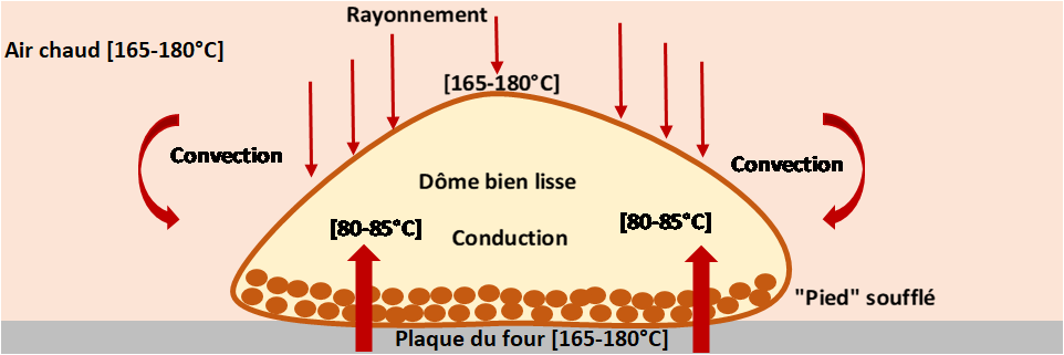 La cuisson du macaron dans toute l’horreur de sa complexité ! Convection, conduction et rayonnement sont au menu.