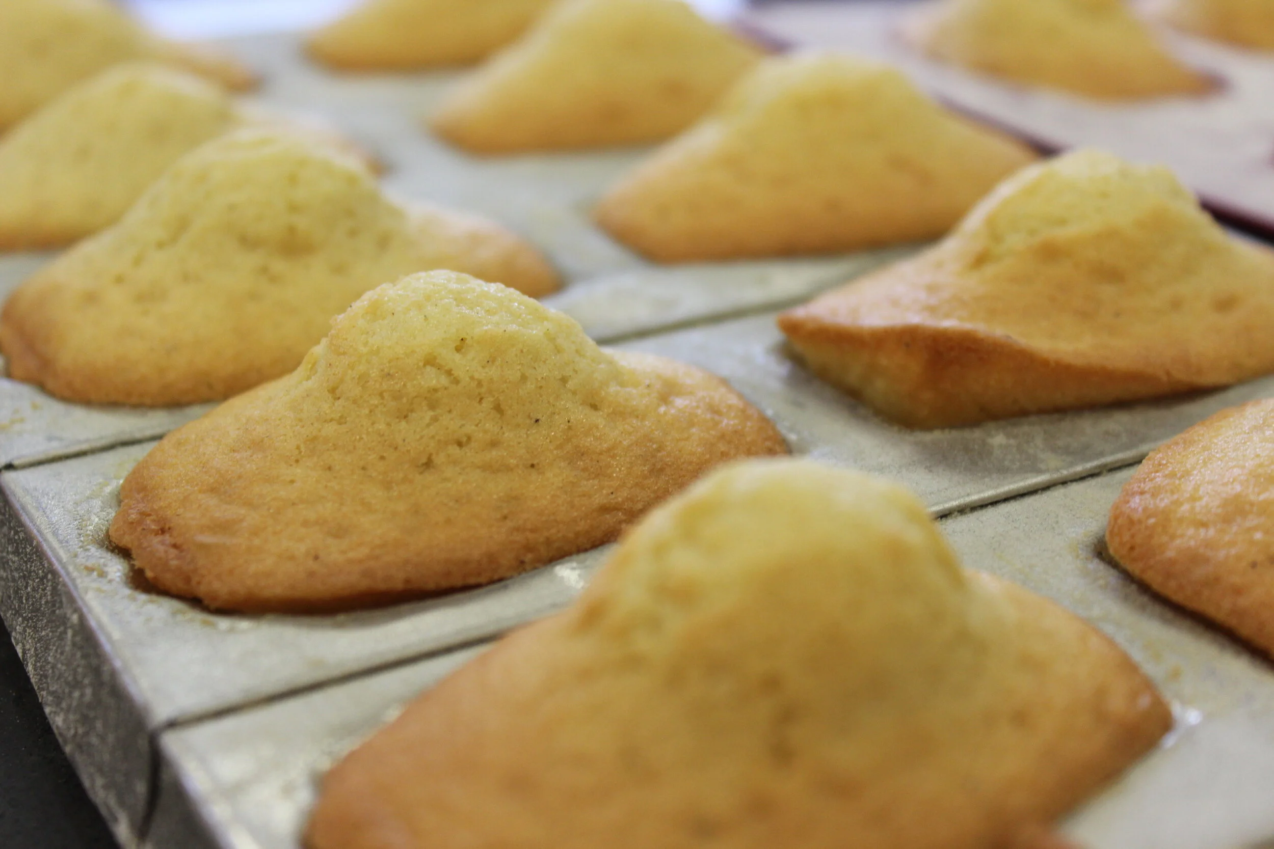MADELEINES : TOUCHEZ MA BOSSE, MONSEIGNEUR !