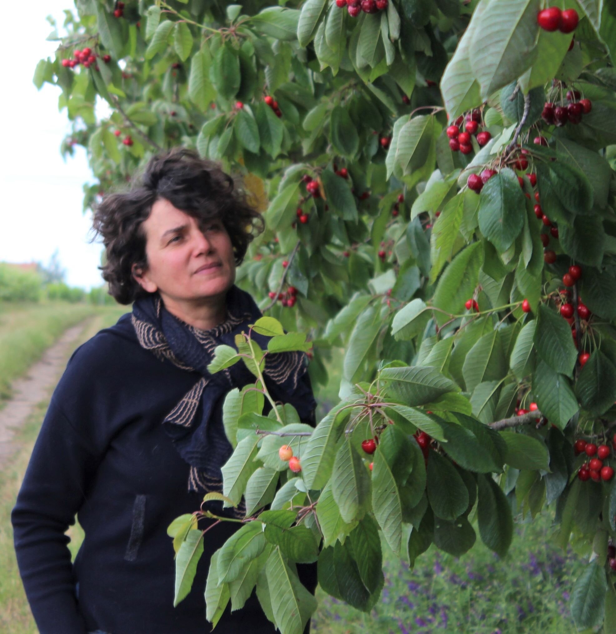 PEGGY LISART : LA VISION ET LA RAISON