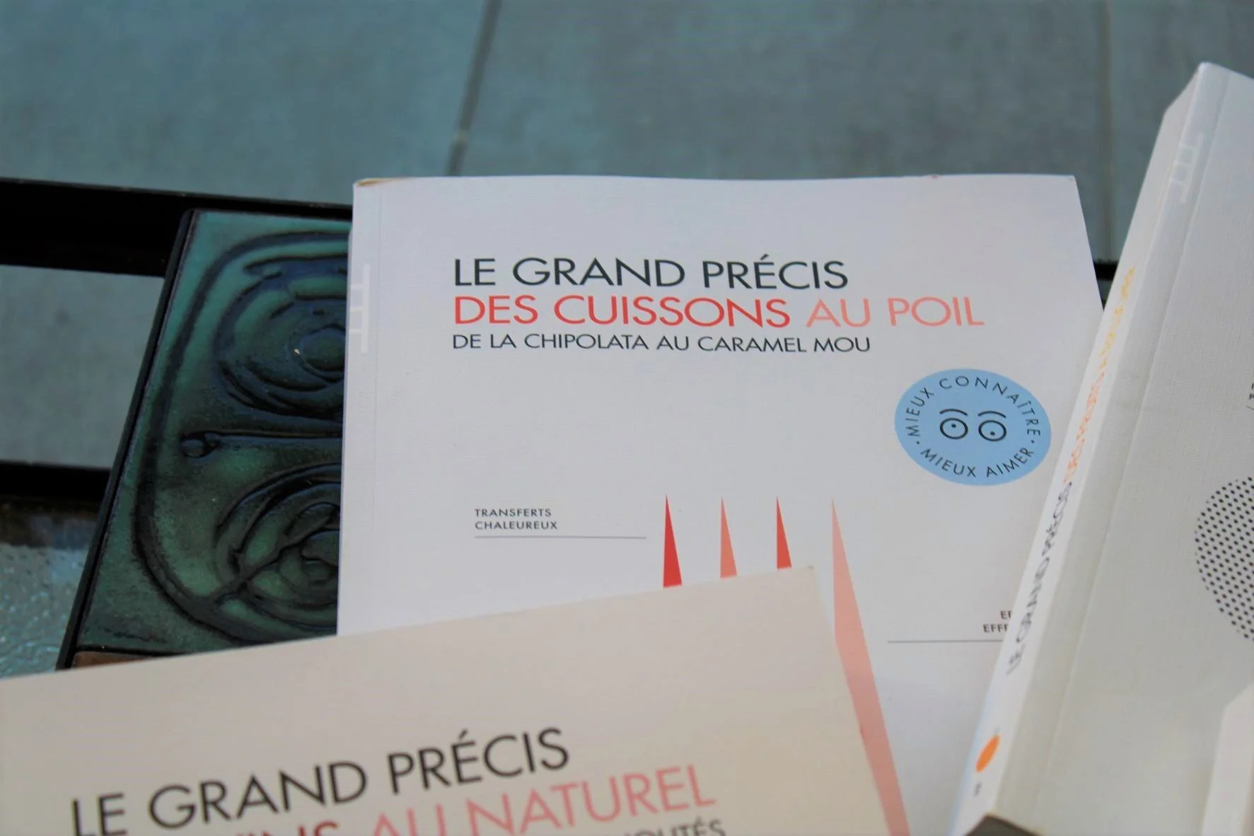 Gros plan 3.JPG