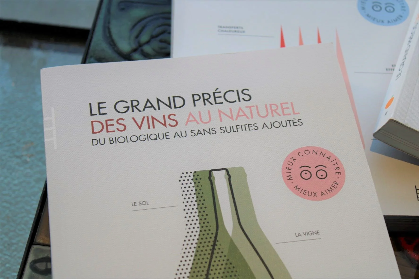 Gros plan 4.JPG