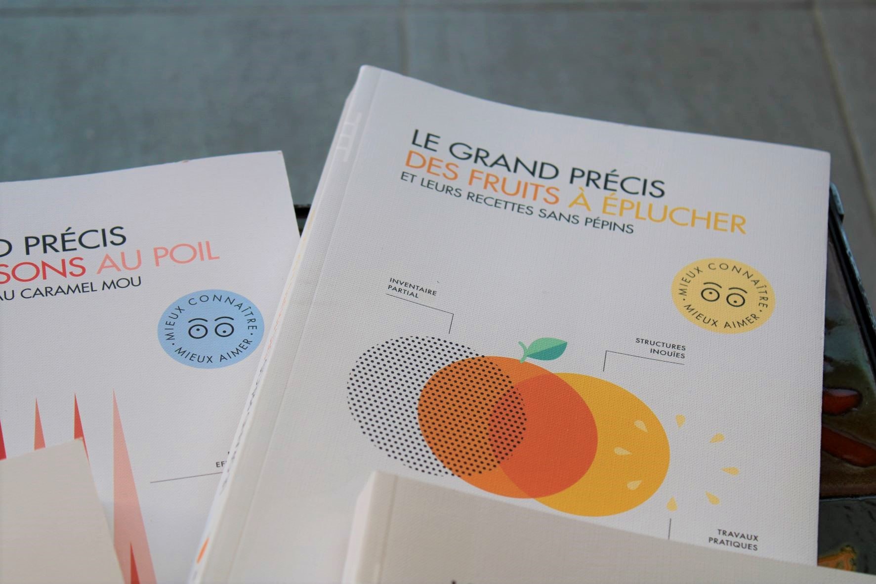 Gros plan 2.JPG