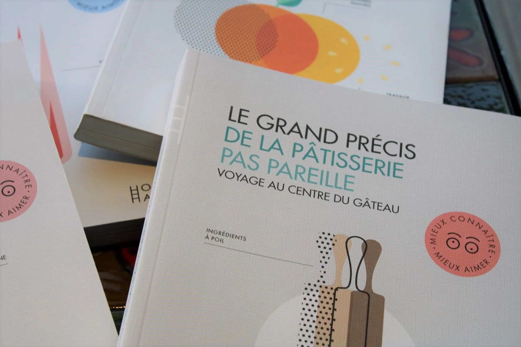 Gros plan 1.JPG