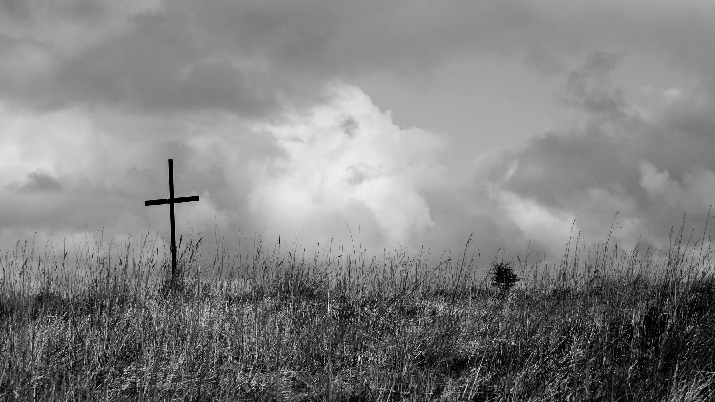 The cross wide screen.jpg