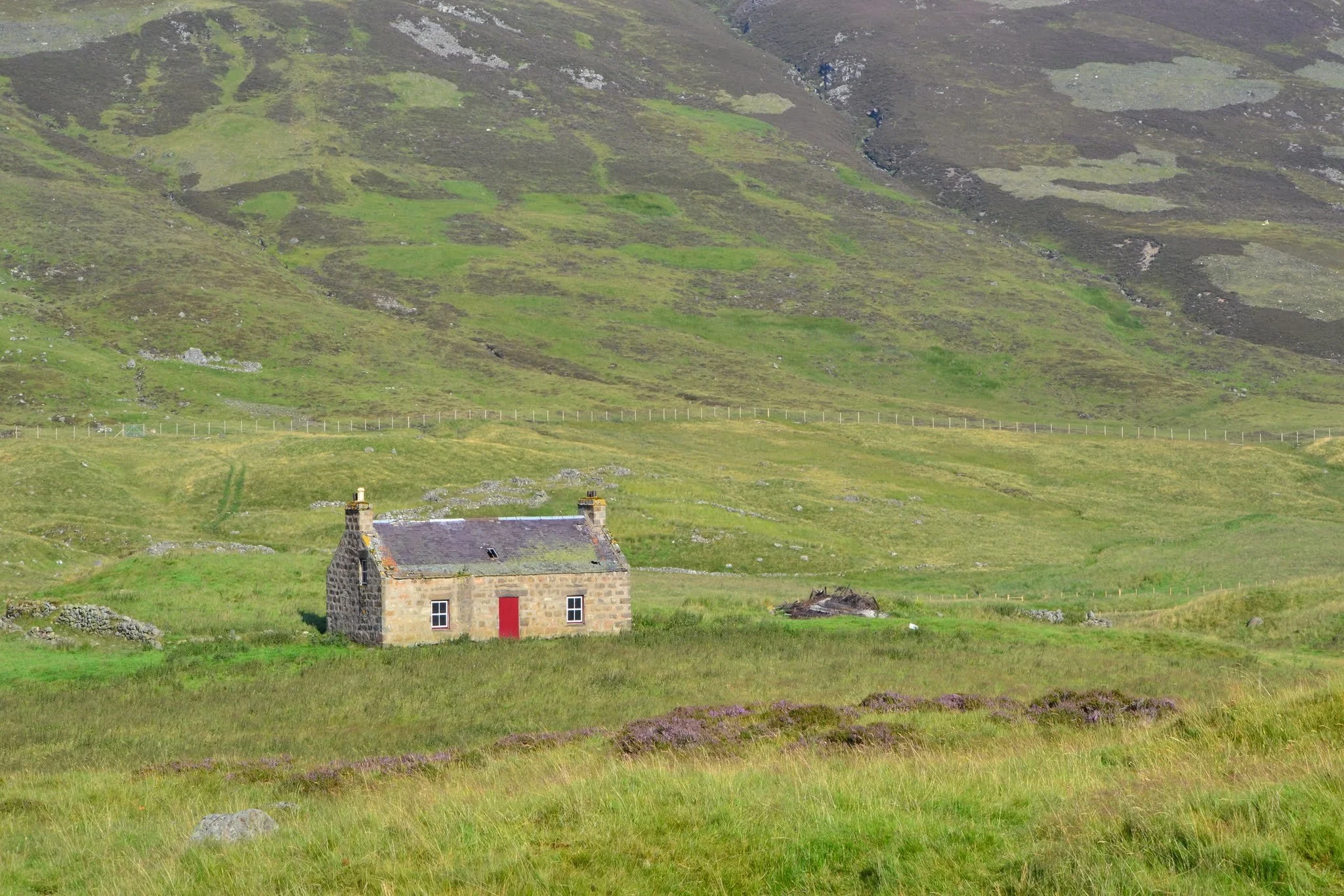 DSC_0632.JPG