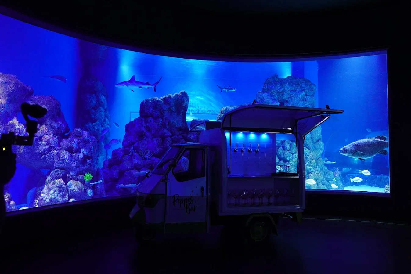 aquarium2.JPG