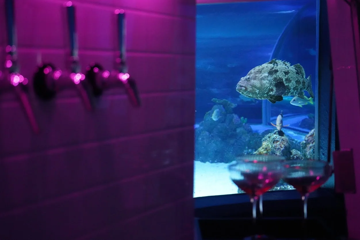 aquarium3.JPG