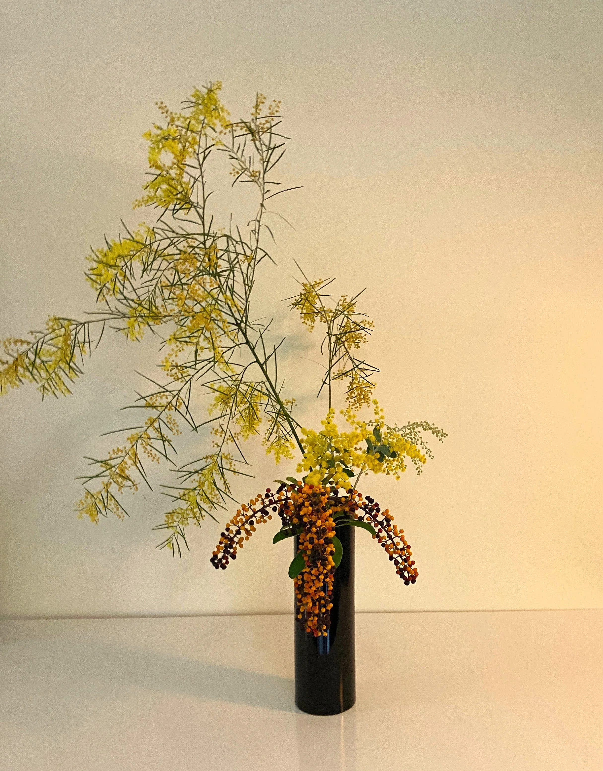 winter-special Wattle-tree Joy.JPG