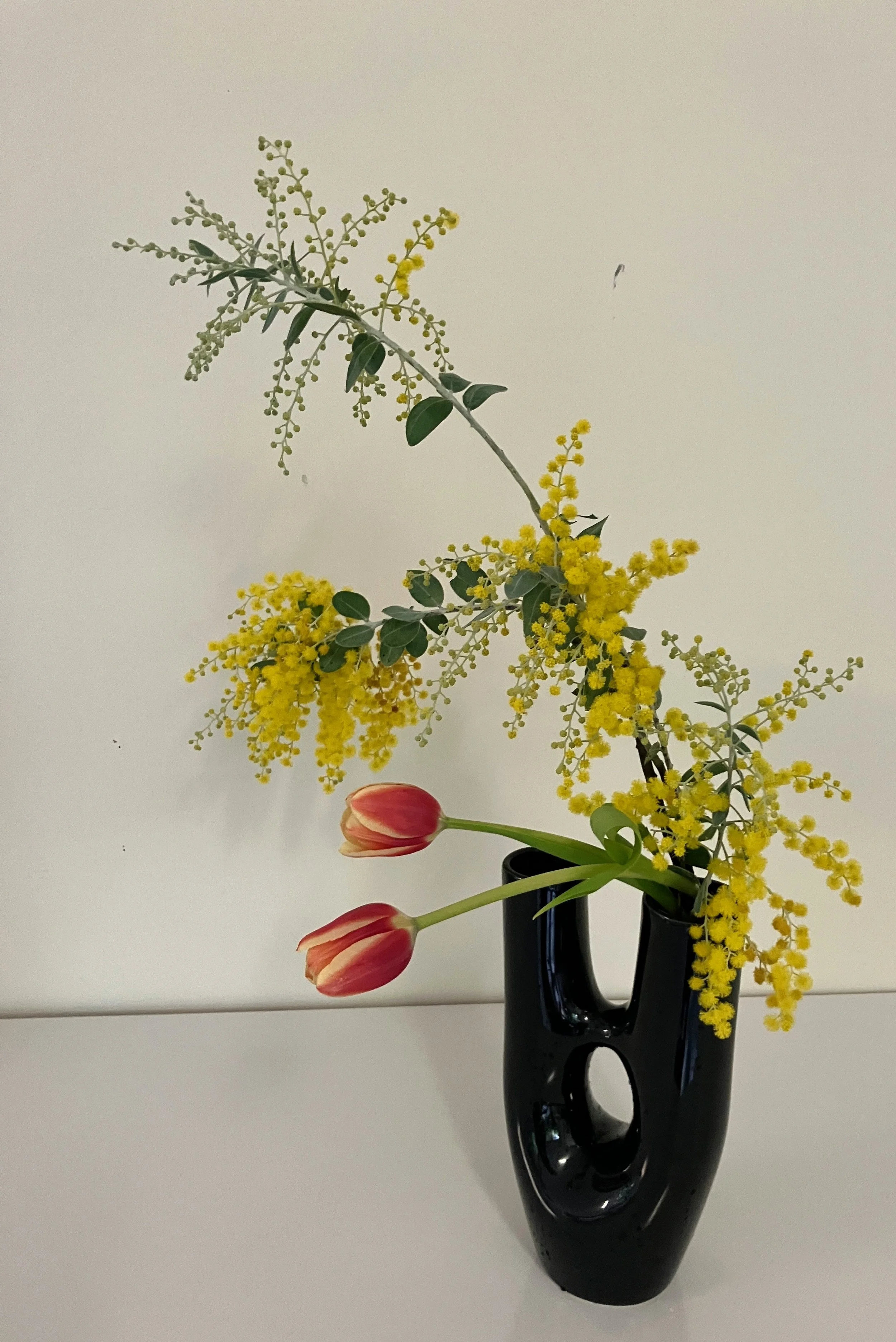 Winer-special Wattle-tree Ella.JPG