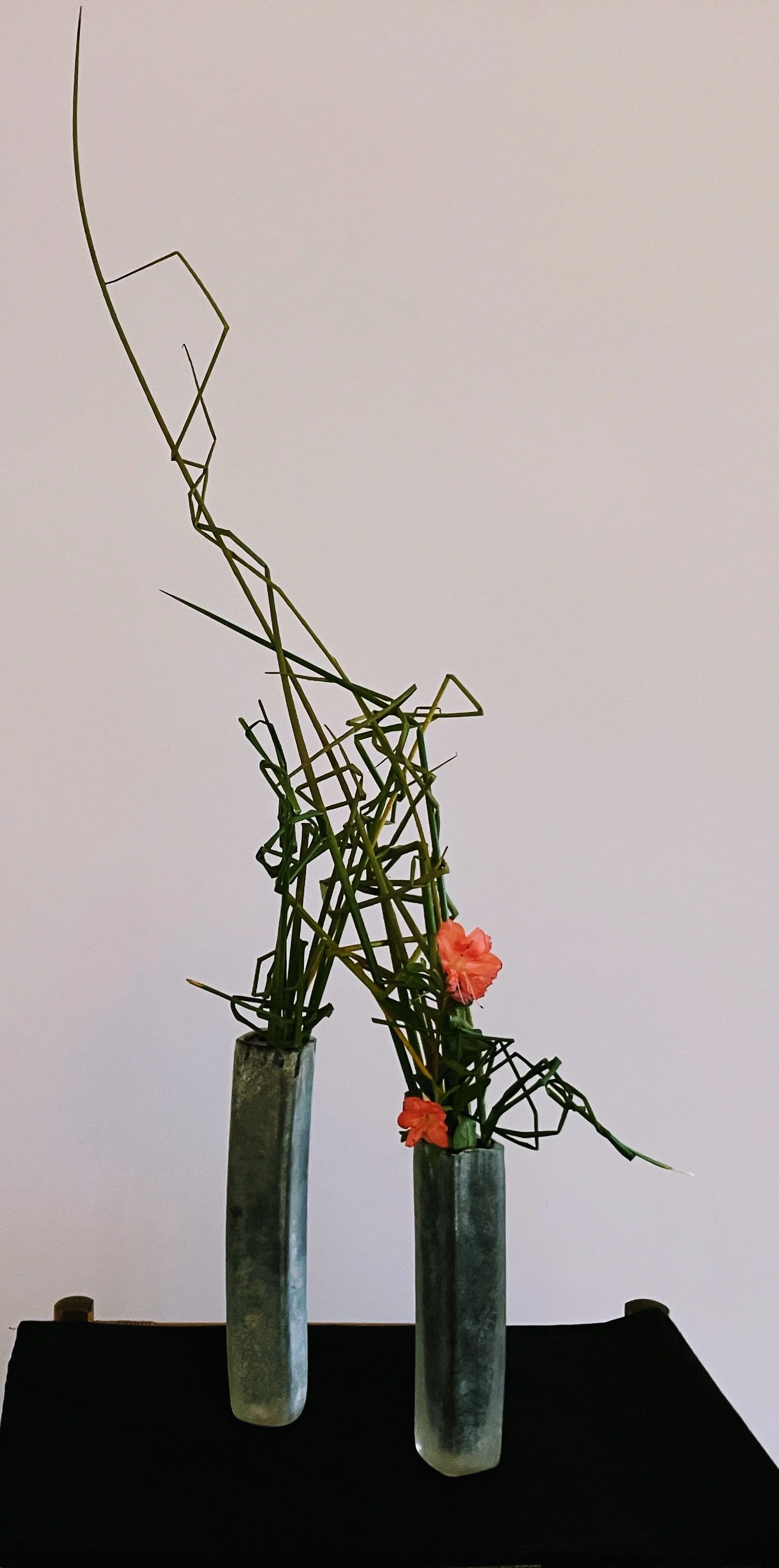 Ella intertwining.JPG