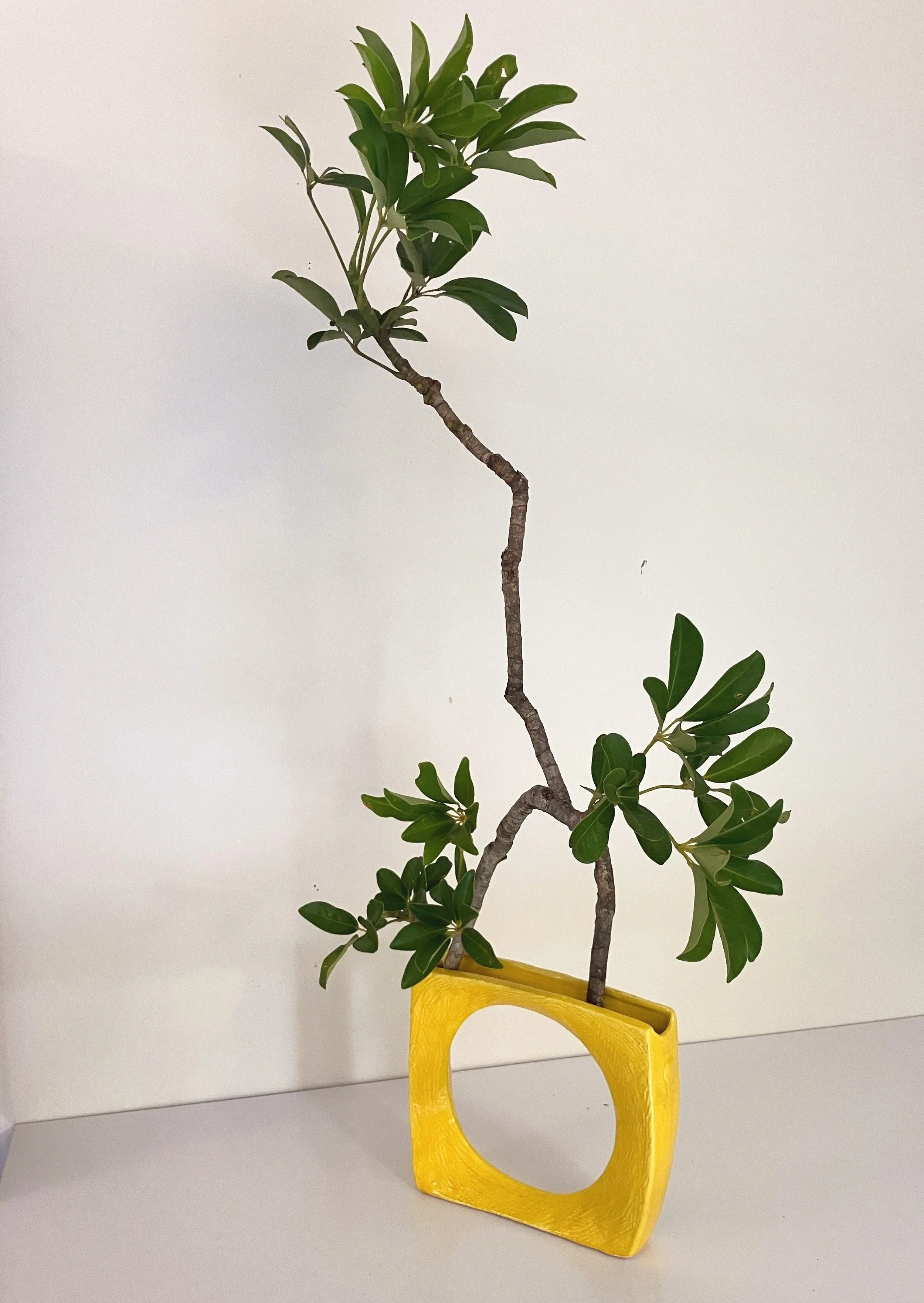 Ella one Material only.JPG