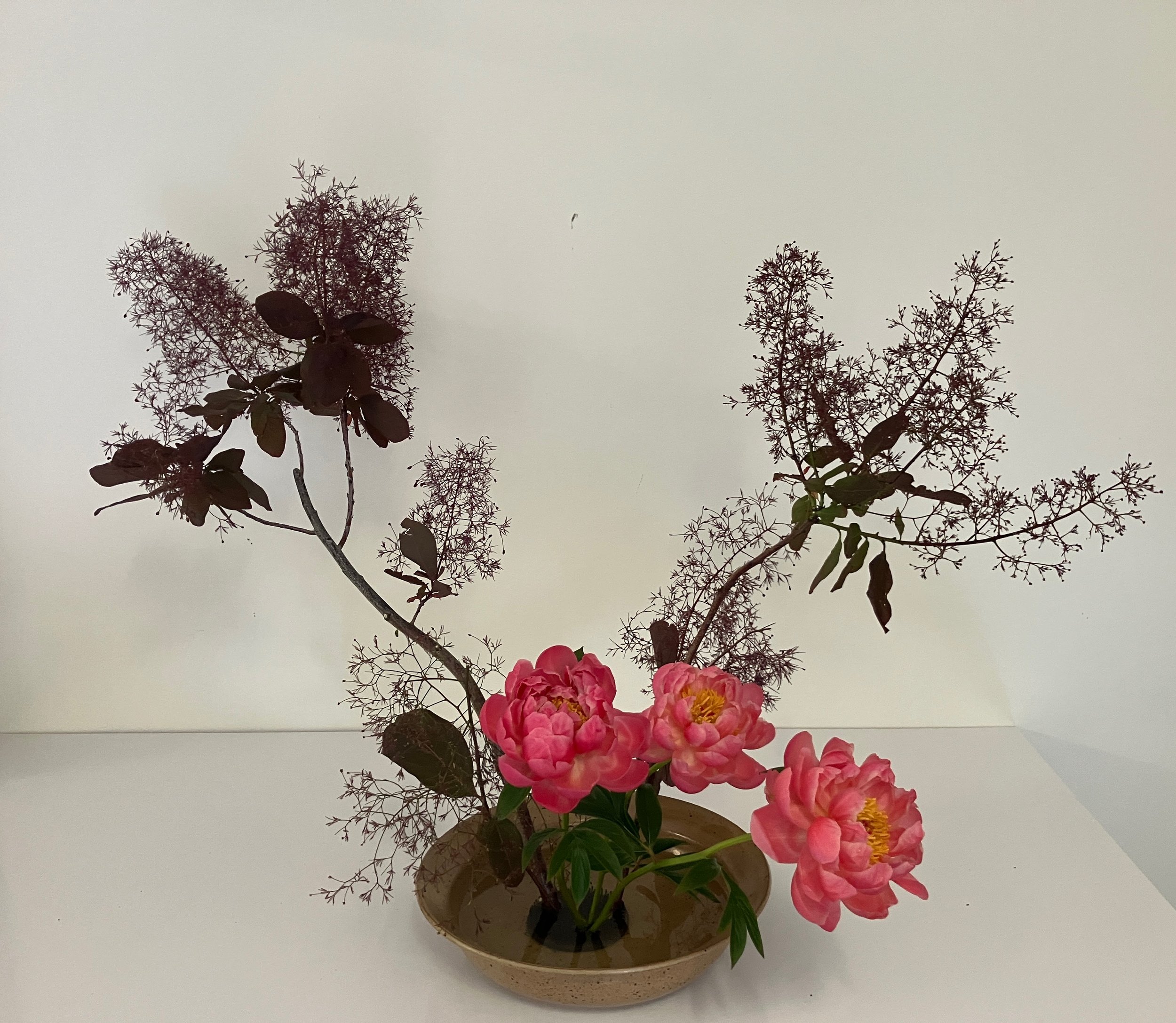 Annie, basic slanting.JPG