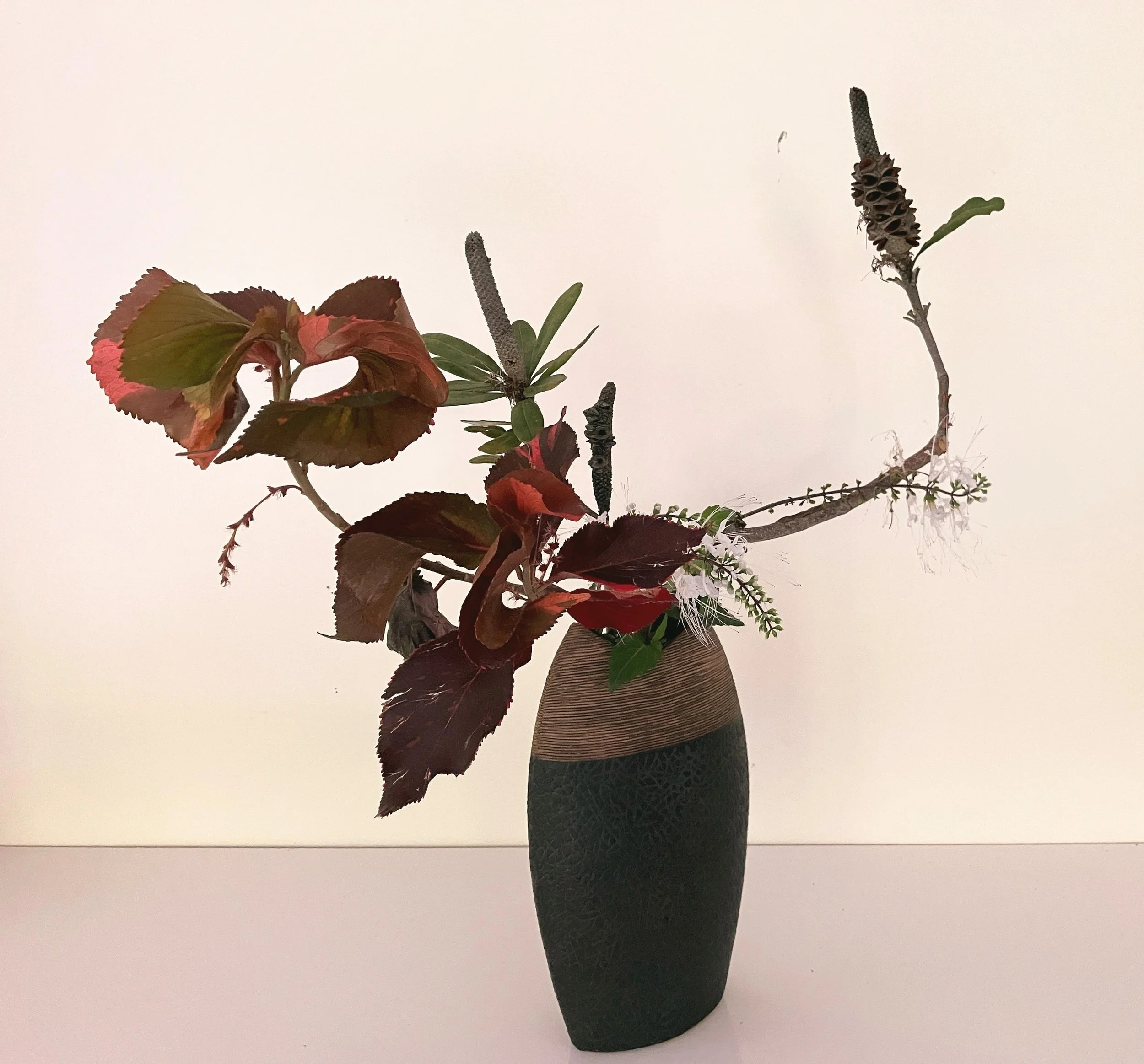 Ella transition in time.jpg