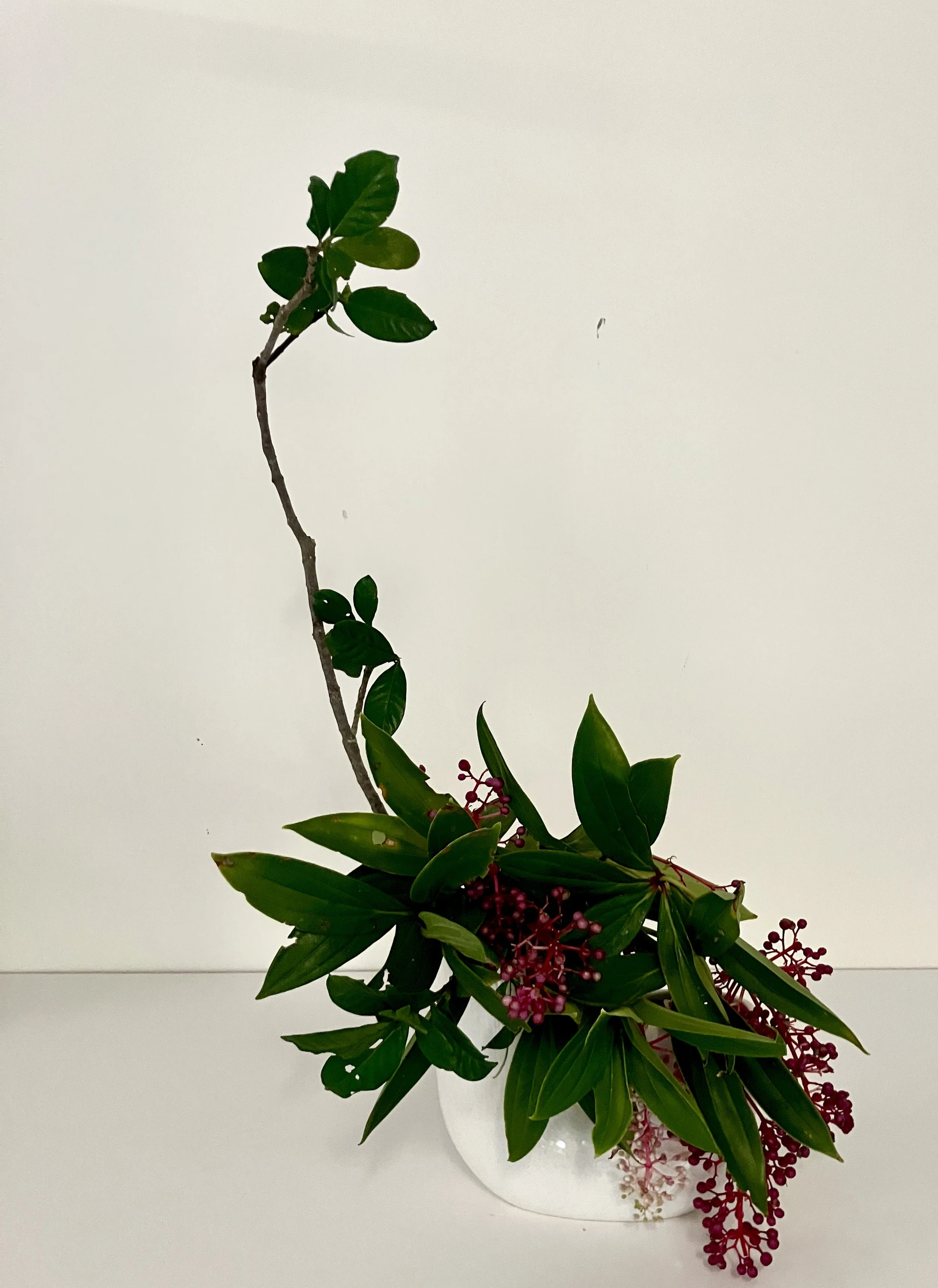 Bernadette Masse.JPG