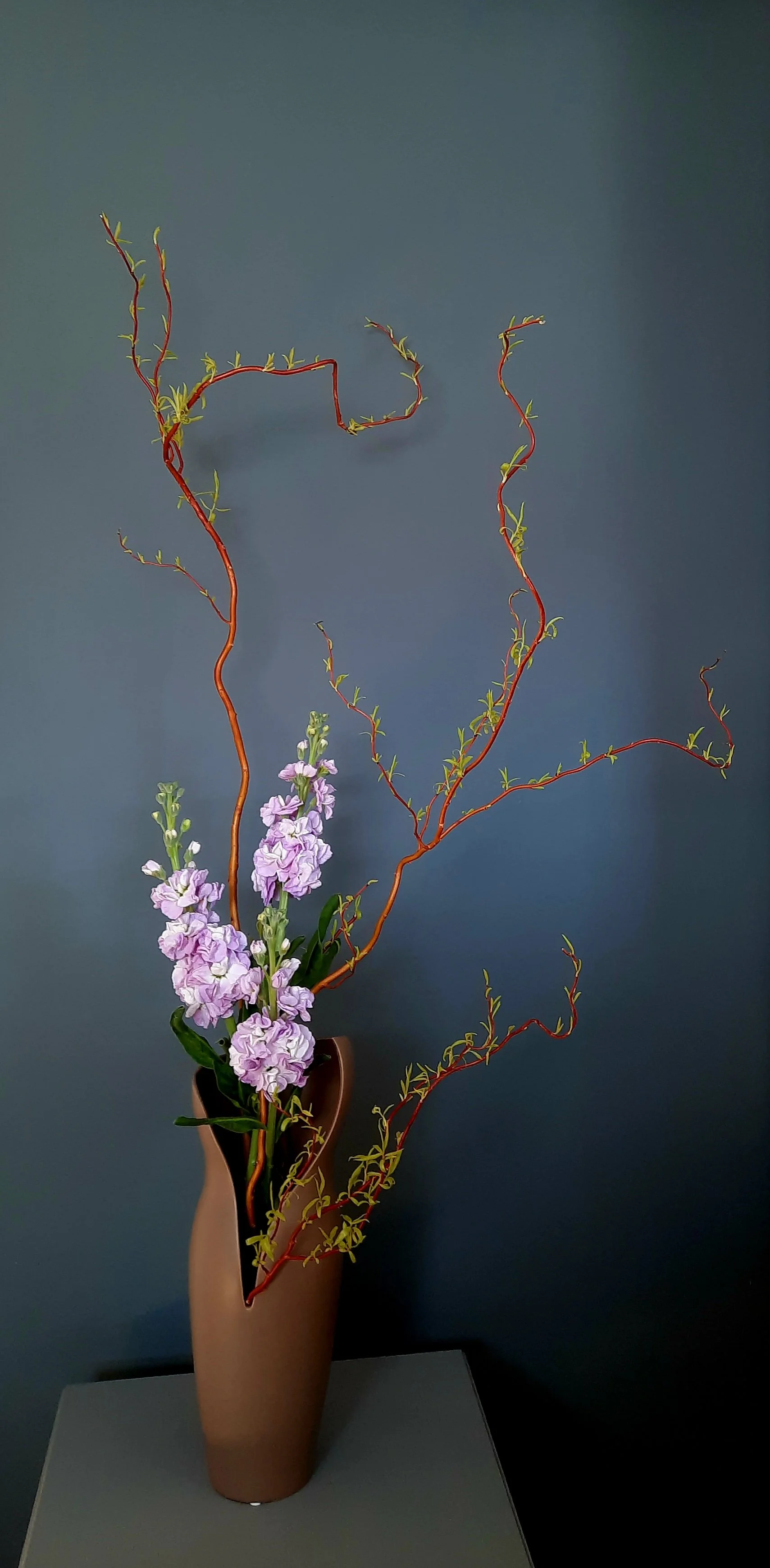 steffi gerade und gebogen.jpg