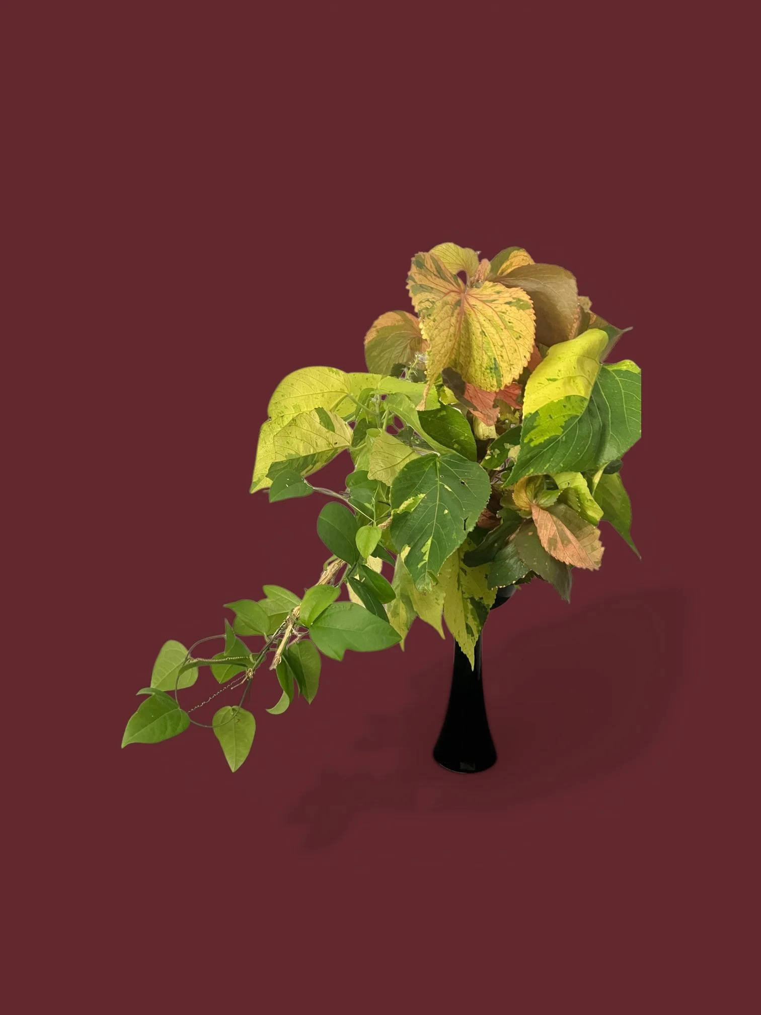 Ella Masse mit Blättern.JPG