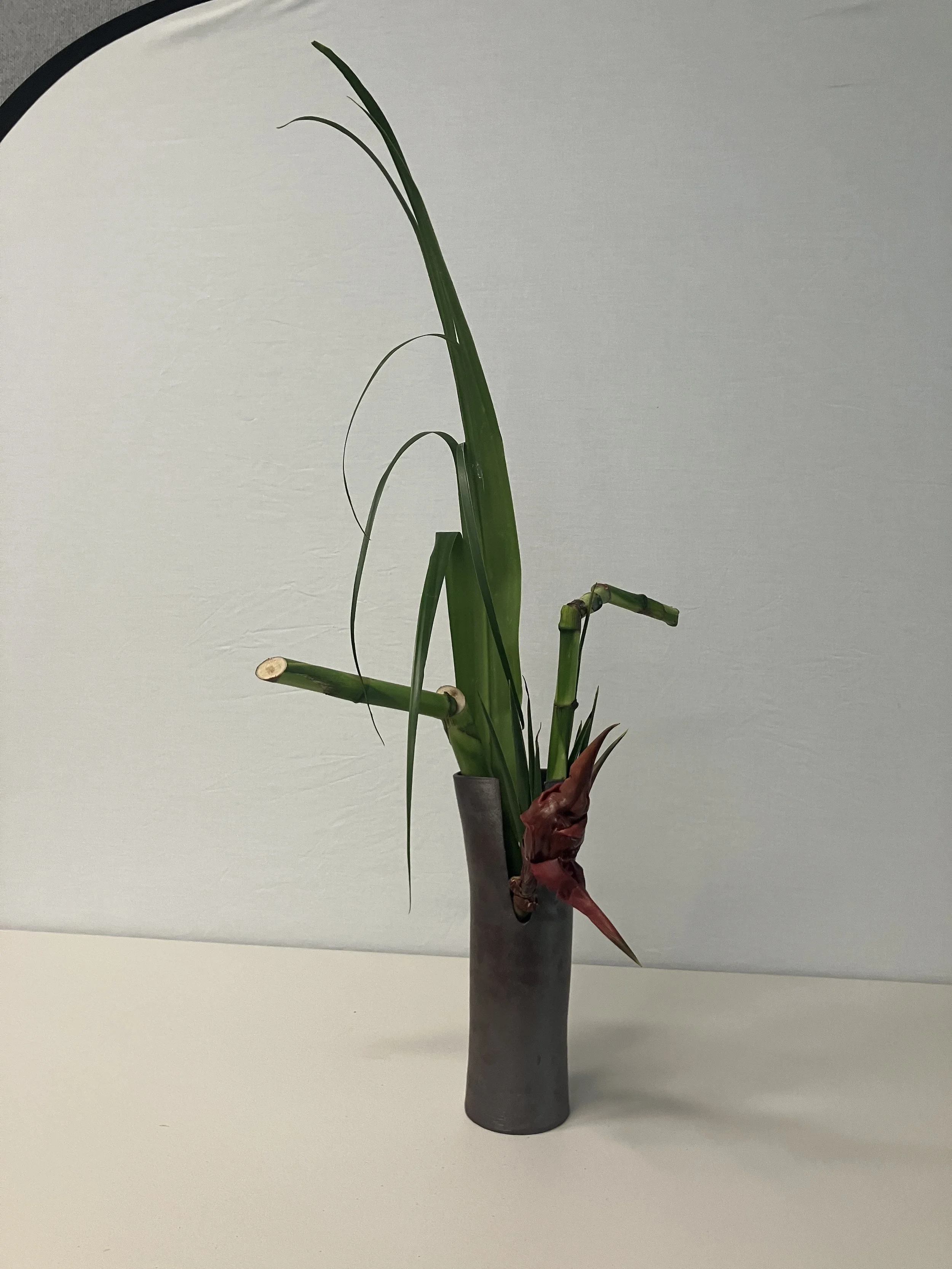 intertwining ella 2.JPG